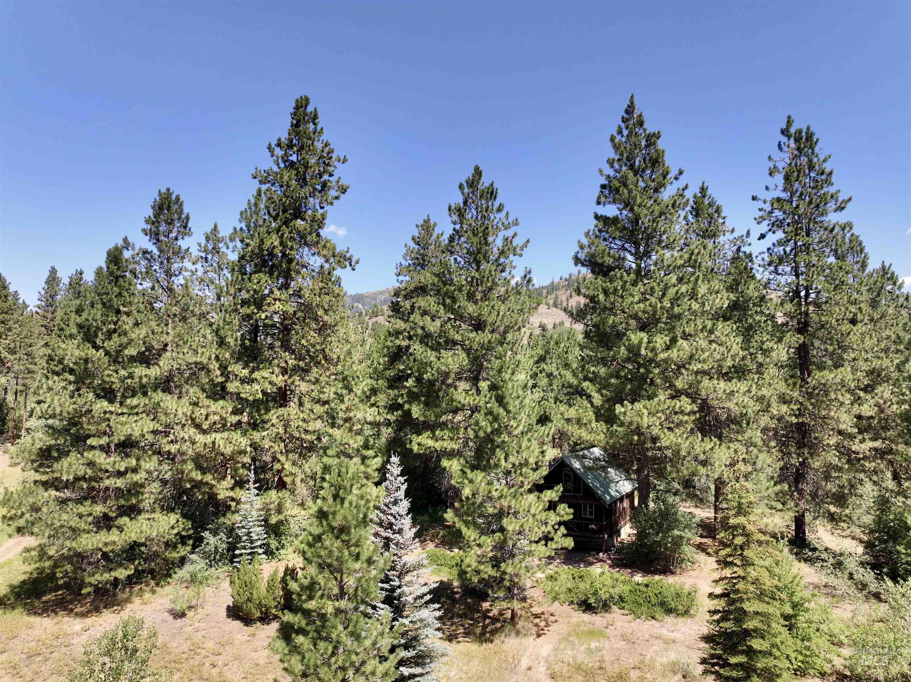 1100 Strawberry Loop Rd, Prairie, Idaho 83647, 1 Bedroom, 1 Bathroom, Residential For Sale, Price $295,000,MLS 98993393