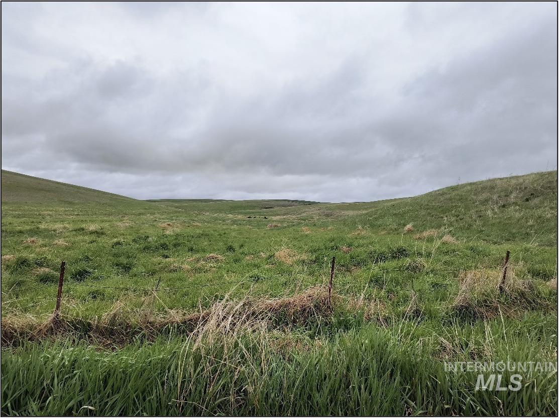 TBD Meade Road, Nezperce, Idaho 83543, Land For Sale, Price $550,000, 98993399