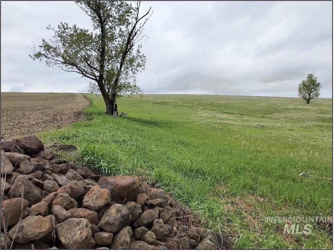 TBD Meade Road, Nezperce, Idaho 83543, Land For Sale, Price $550,000, 98993399