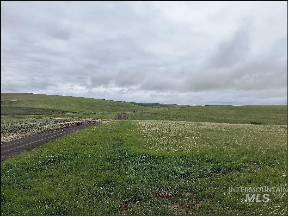 TBD Meade Road, Nezperce, Idaho 83543, Land For Sale, Price $550,000, 98993399
