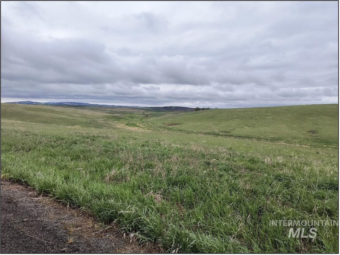 TBD Meade Road, Nezperce, Idaho 83543, Land For Sale, Price $550,000, 98993399