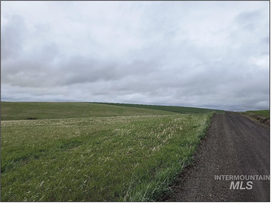 TBD Meade Road, Nezperce, Idaho 83543, Land For Sale, Price $550,000, 98993399
