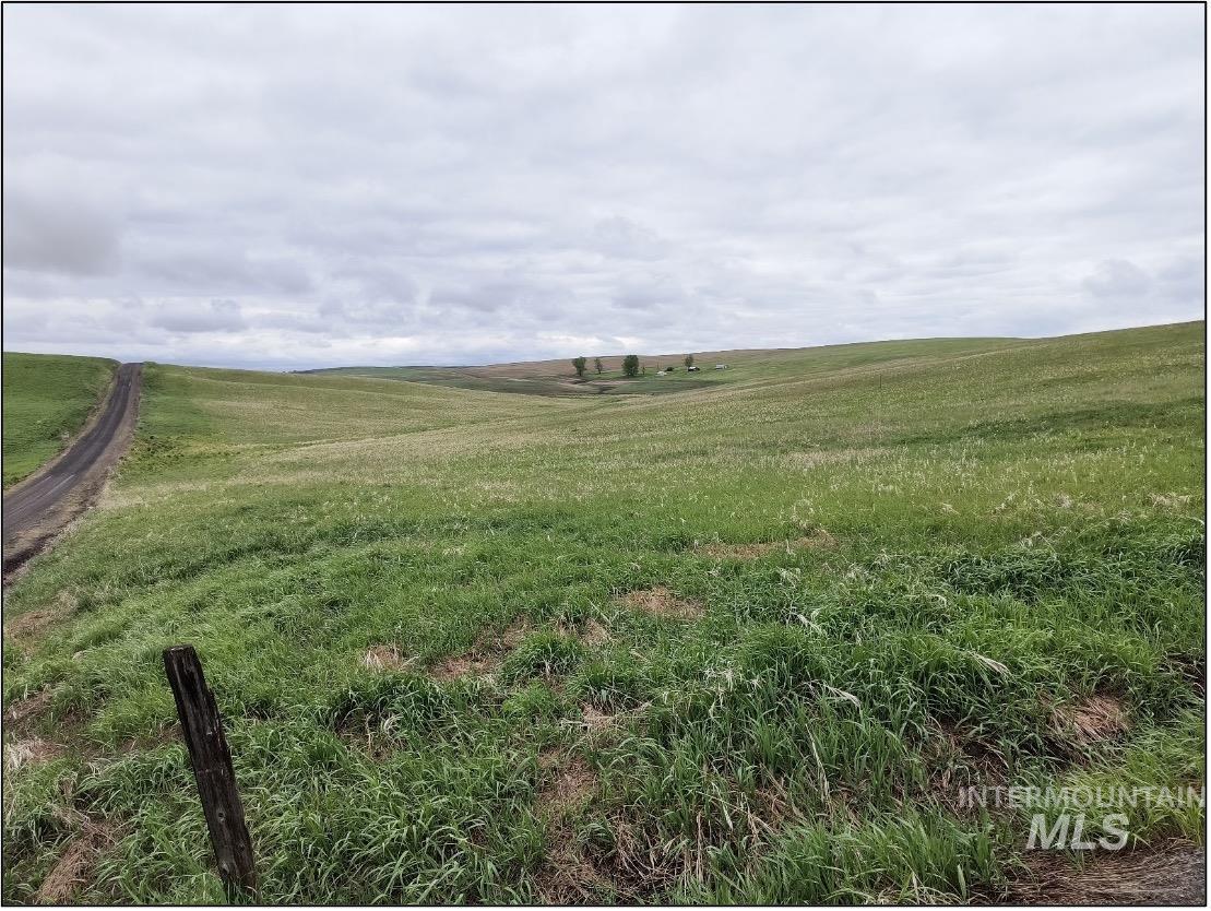 TBD Meade Road, Nezperce, Idaho 83543, Land For Sale, Price $550,000, 98993399