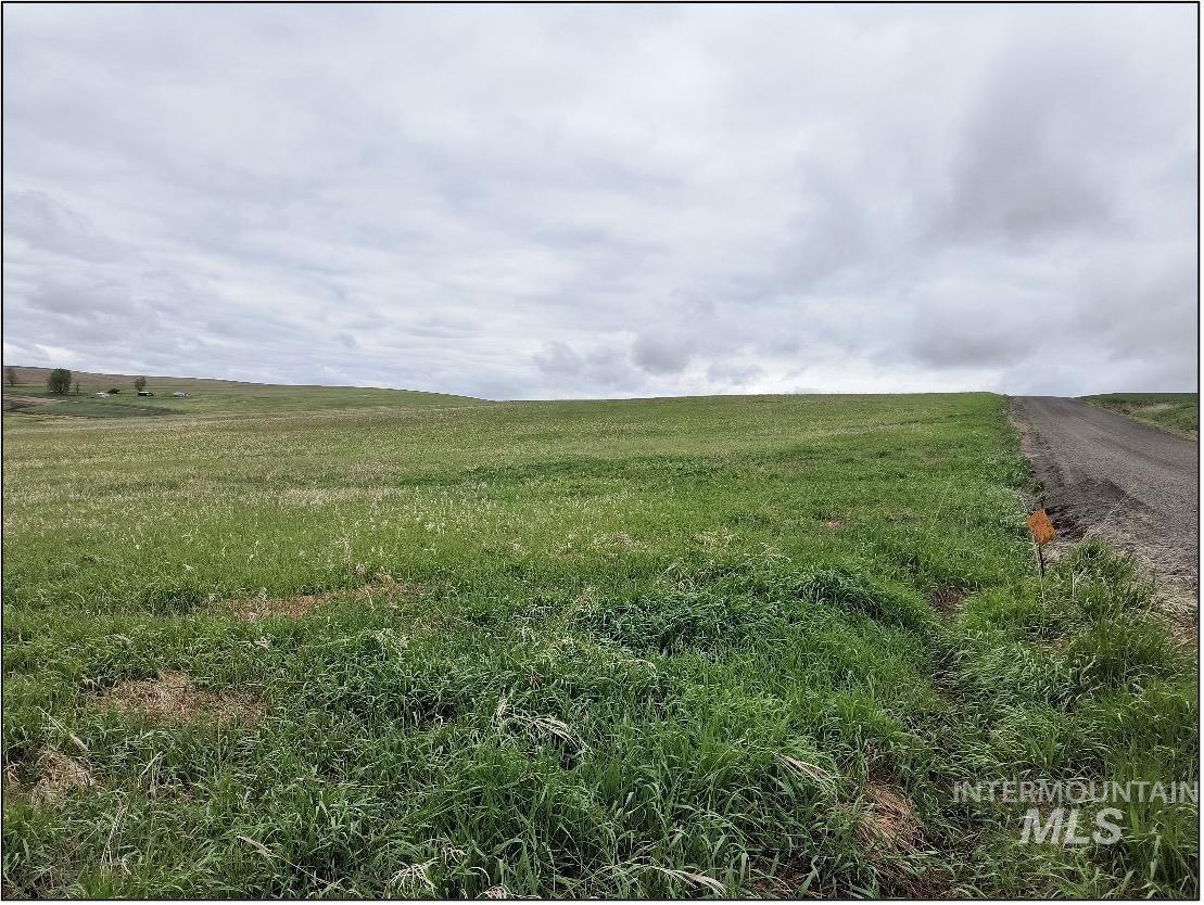 TBD Meade Road, Nezperce, Idaho 83543, Land For Sale, Price $550,000, 98993399