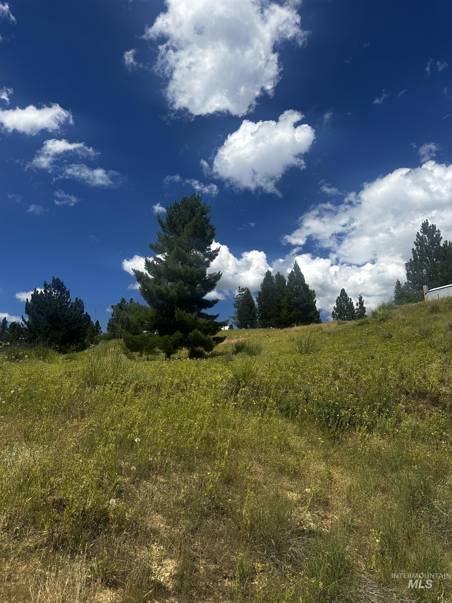 TBD Gold Fork Ridge Rd-1.03 acres, Boise, Idaho 83716, Land For Sale, Price $159,000, 98993408