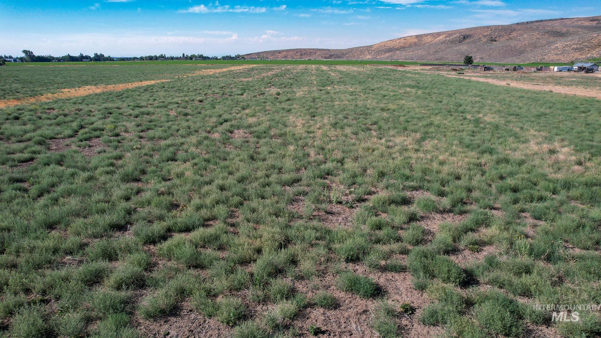 19561 Queens Crown Rd, Carey, Idaho 83320, Land For Sale, Price $265,000, 98993413
