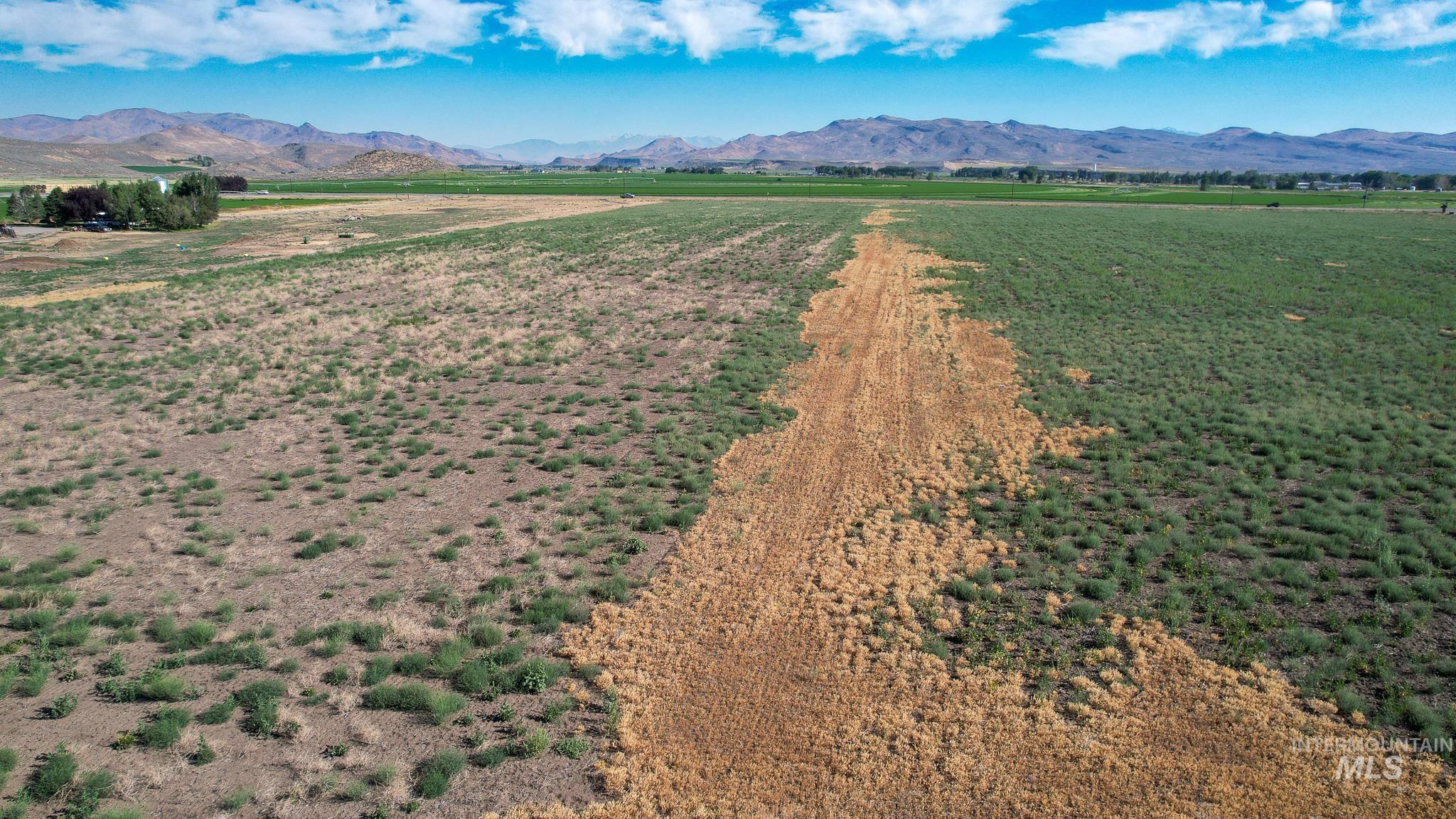19561 Queens Crown Rd, Carey, Idaho 83320, Land For Sale, Price $265,000, 98993413