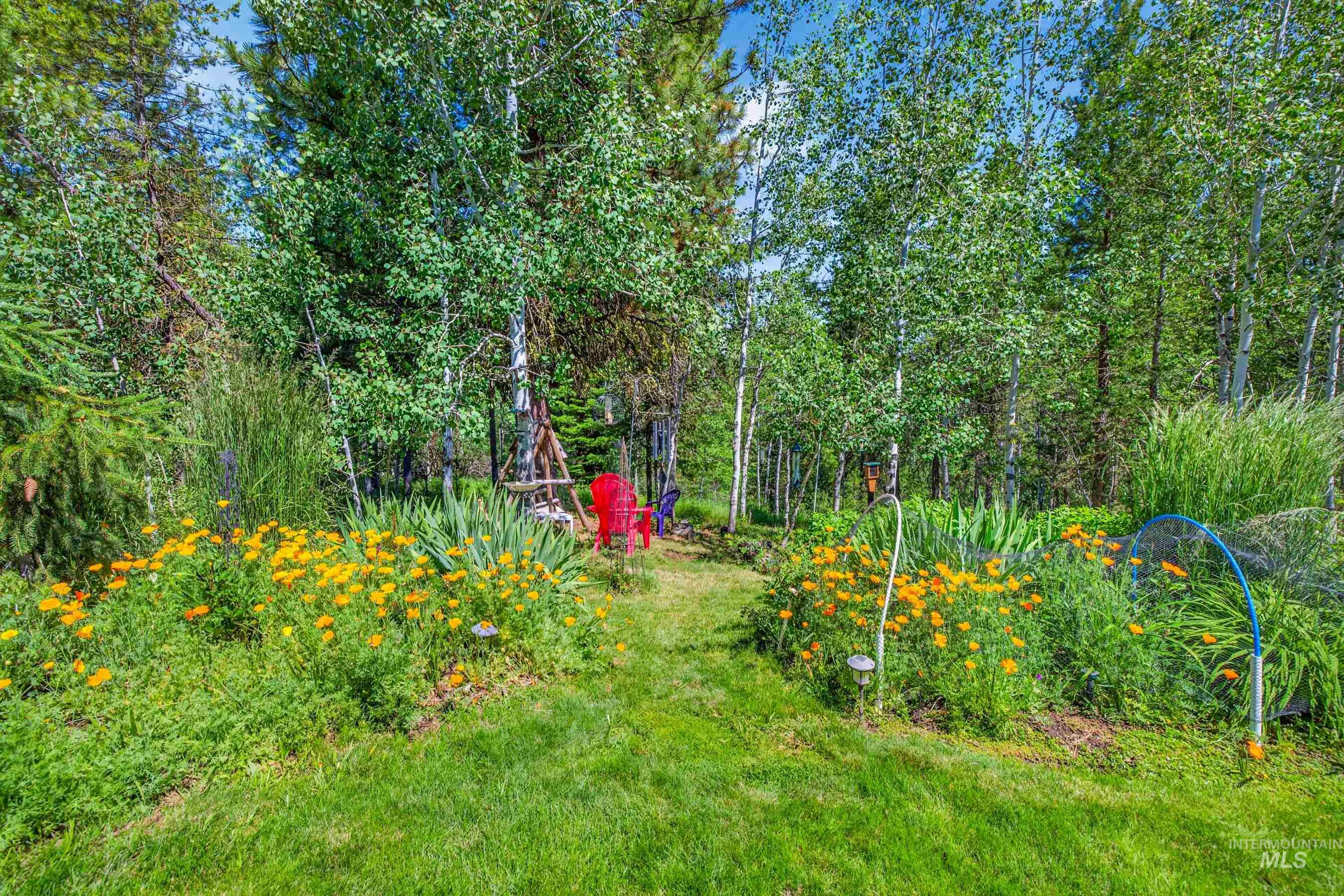 254 Buckcamp Lane, McCall, Idaho 83638, 2 Bedrooms, 2 Bathrooms, Residential For Sale, Price $925,000,MLS 98993453