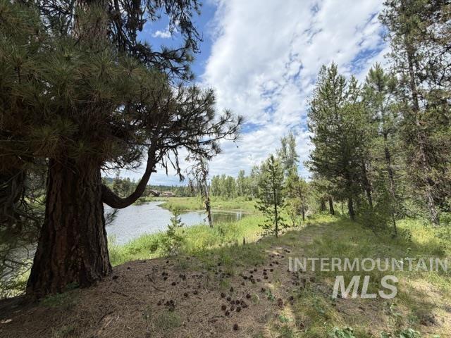 254 Buckcamp Lane, McCall, Idaho 83638, 2 Bedrooms, 2 Bathrooms, Residential For Sale, Price $925,000,MLS 98993453