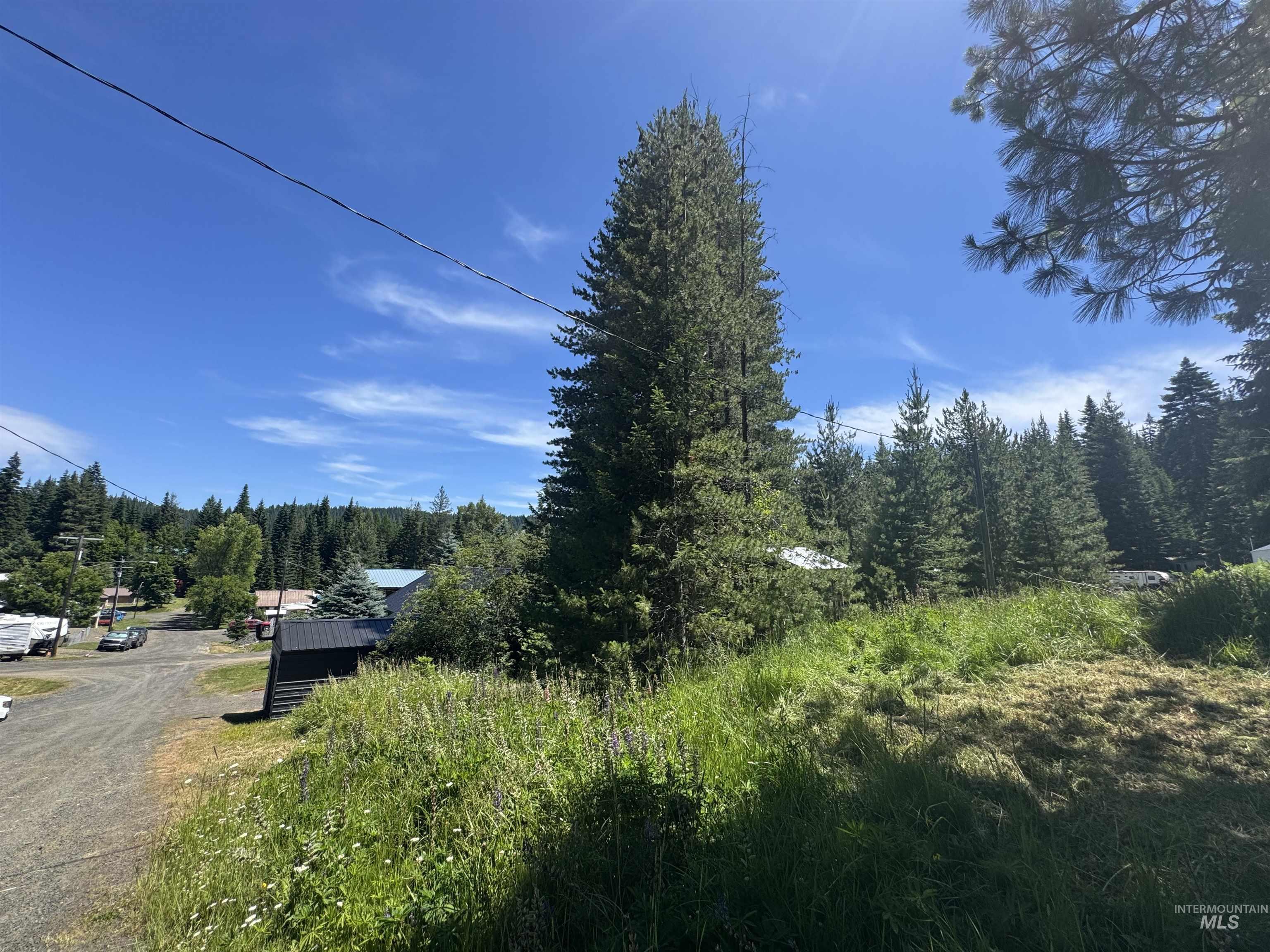402 S 3rd St, Elk River, Idaho 83827, 2 Bedrooms, 1 Bathroom, Residential For Sale, Price $345,000, 98993500