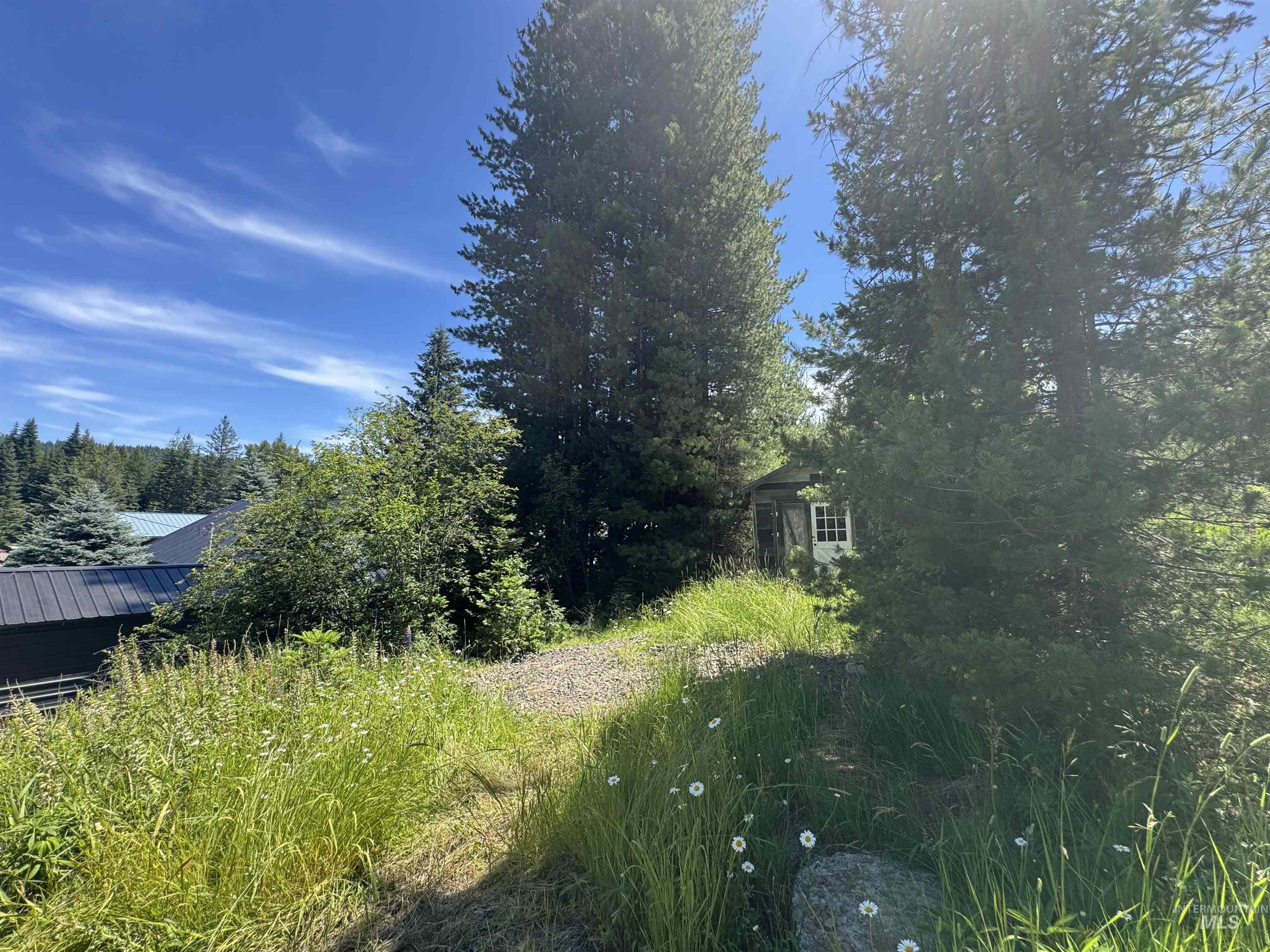 402 S 3rd St, Elk River, Idaho 83827, 2 Bedrooms, 1 Bathroom, Residential For Sale, Price $345,000, 98993500