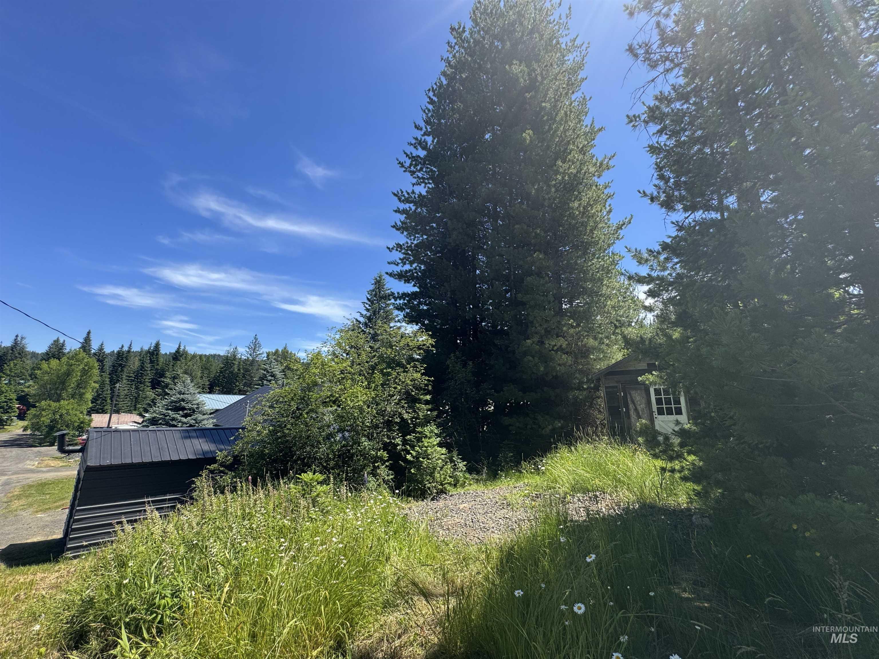 402 S 3rd St, Elk River, Idaho 83827, 2 Bedrooms, 1 Bathroom, Residential For Sale, Price $345,000, 98993500