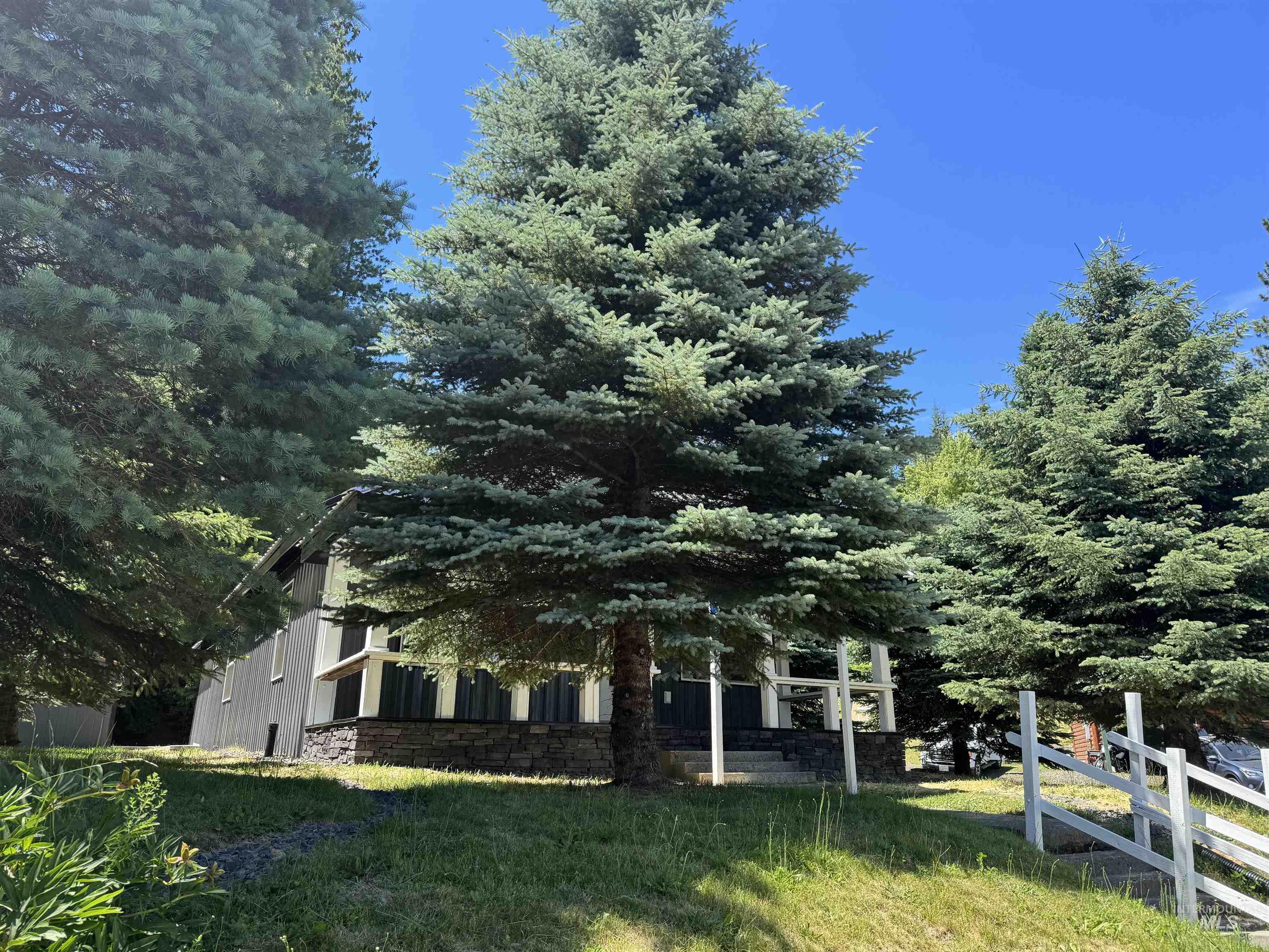 402 S 3rd St, Elk River, Idaho 83827, 2 Bedrooms, 1 Bathroom, Residential For Sale, Price $345,000, 98993500