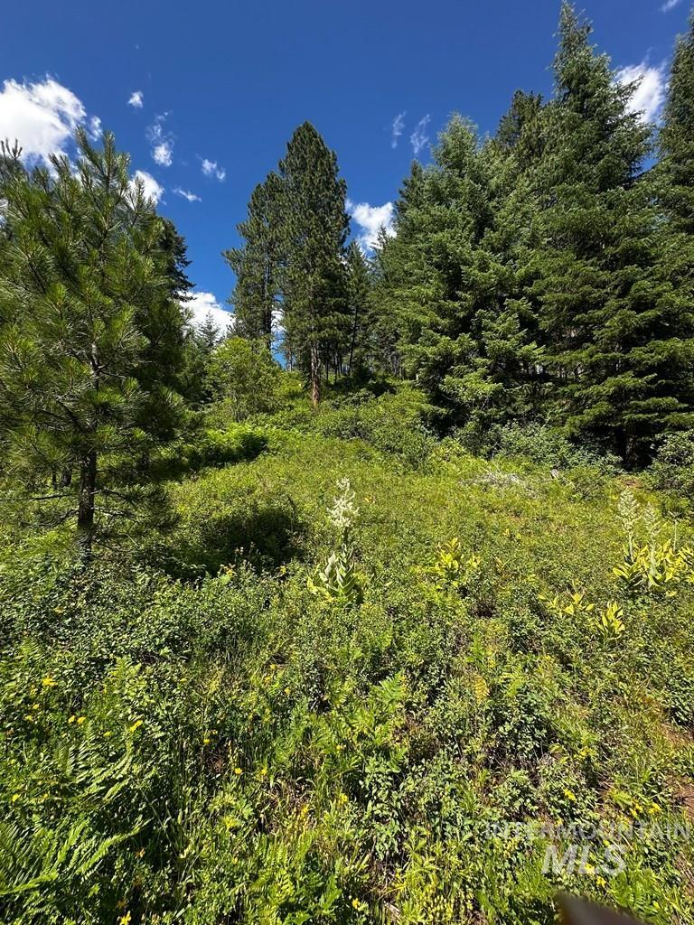 TBD Hwy 95, Council, Idaho 83612, Land For Sale, Price $149,900, 98993510