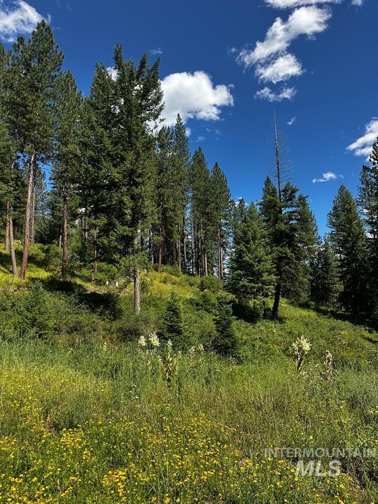 TBD Hwy 95, Council, Idaho 83612, Land For Sale, Price $149,900, 98993510