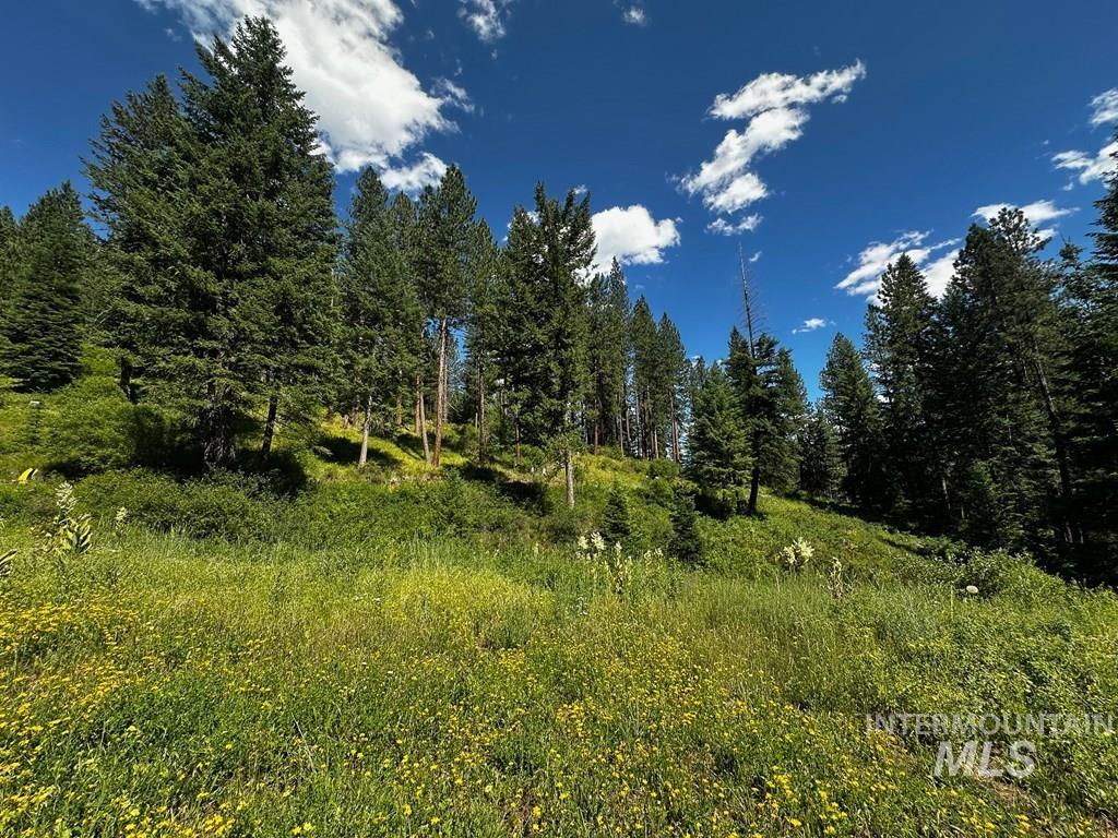 TBD Hwy 95, Council, Idaho 83612, Land For Sale, Price $149,900, 98993510