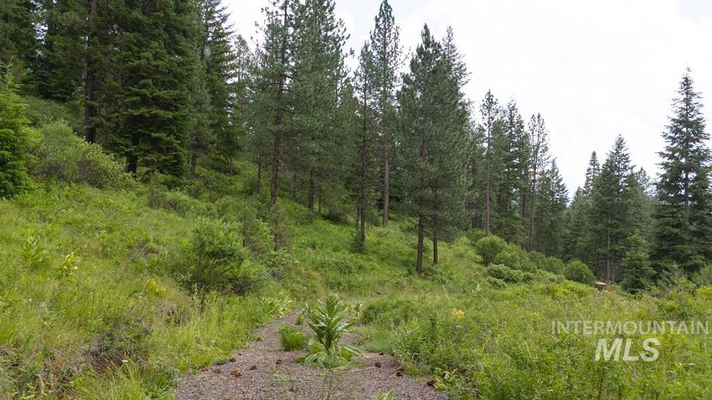 TBD Hwy 95, Council, Idaho 83612, Land For Sale, Price $149,900, 98993510