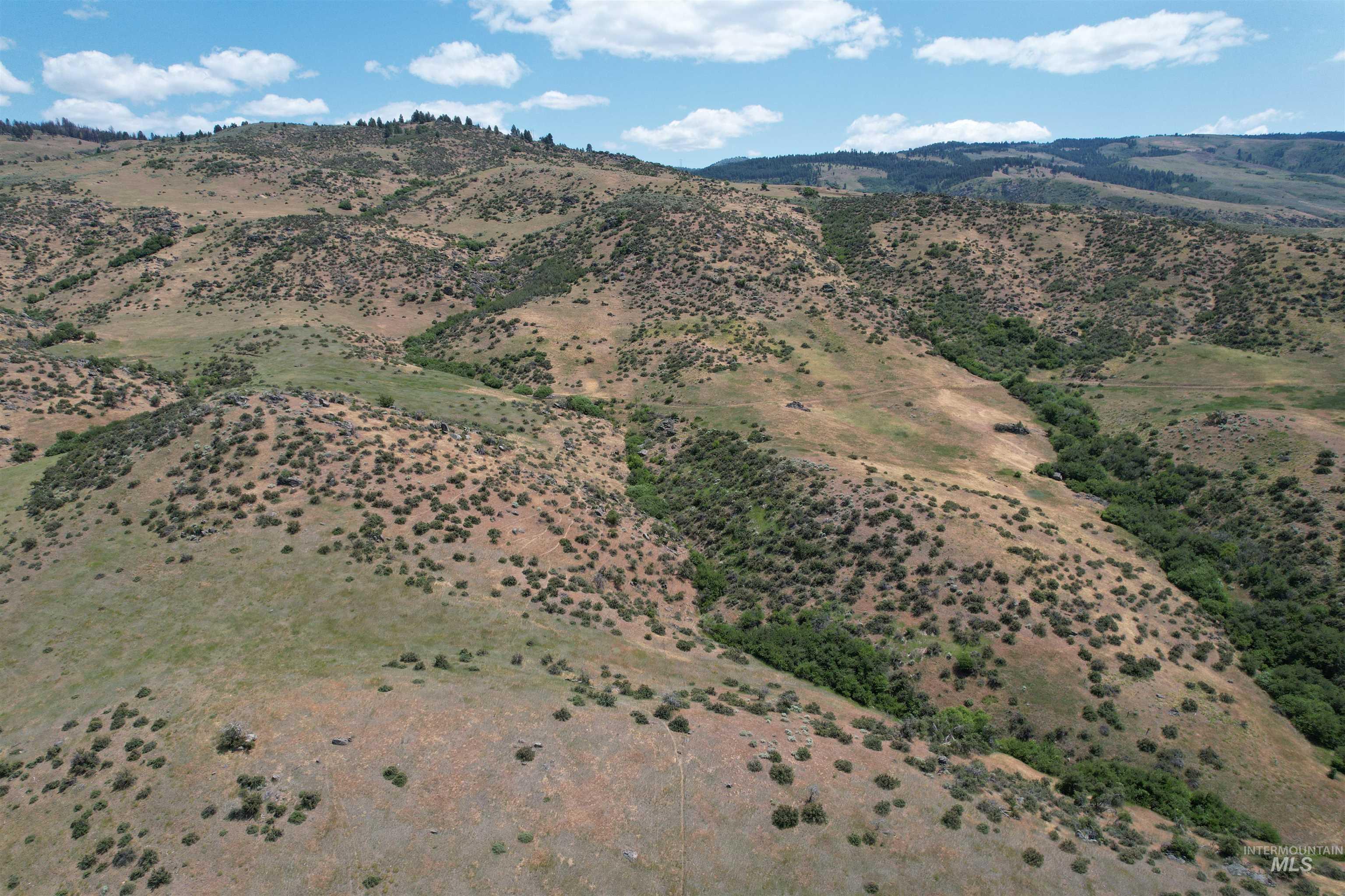 TBD Parcel C Holbrook Lane, Ola, Idaho 83657, Land For Sale, Price $271,570,MLS 98993525
