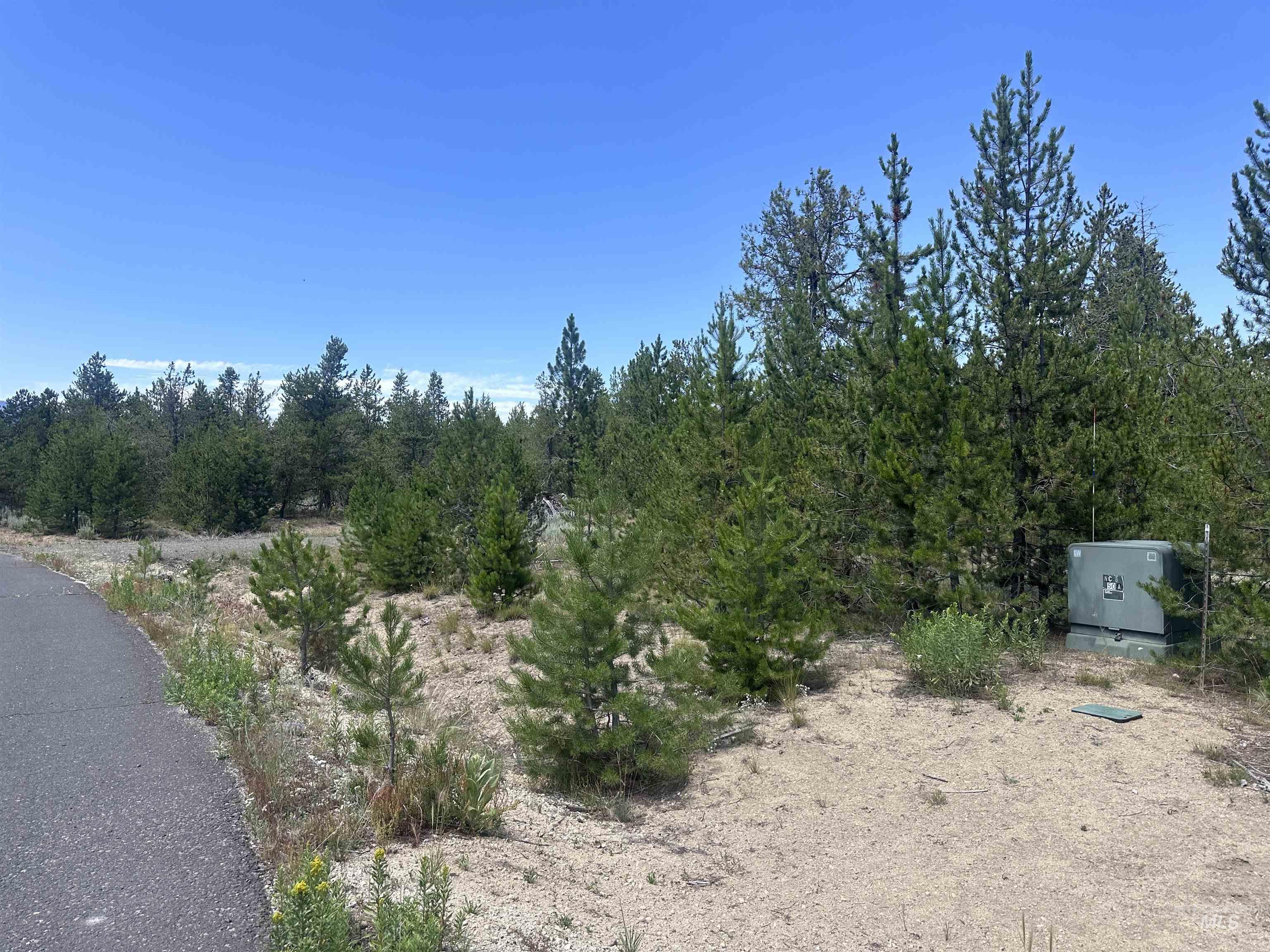 40 Norwood Place, Donnelly, Idaho 83615, Land For Sale, Price $376,000,MLS 98993569