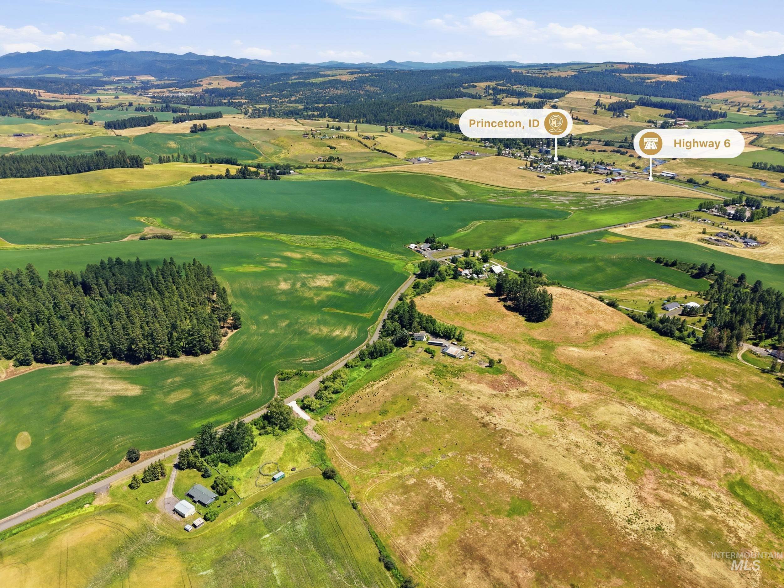 TBD Reynolds, Princeton, Idaho 83857, Land For Sale, Price $175,000, 98993570