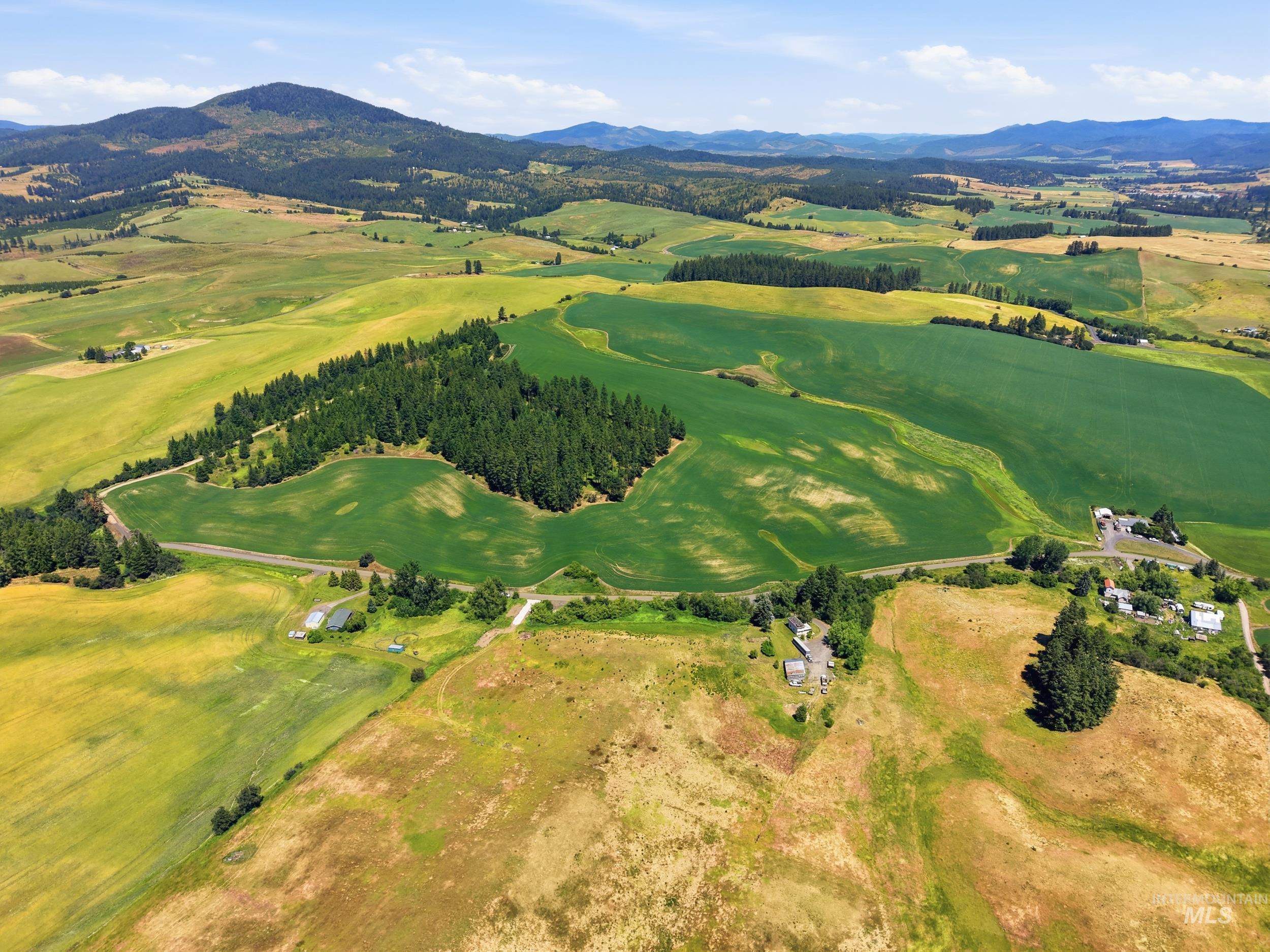 TBD Reynolds, Princeton, Idaho 83857, Land For Sale, Price $175,000, 98993570