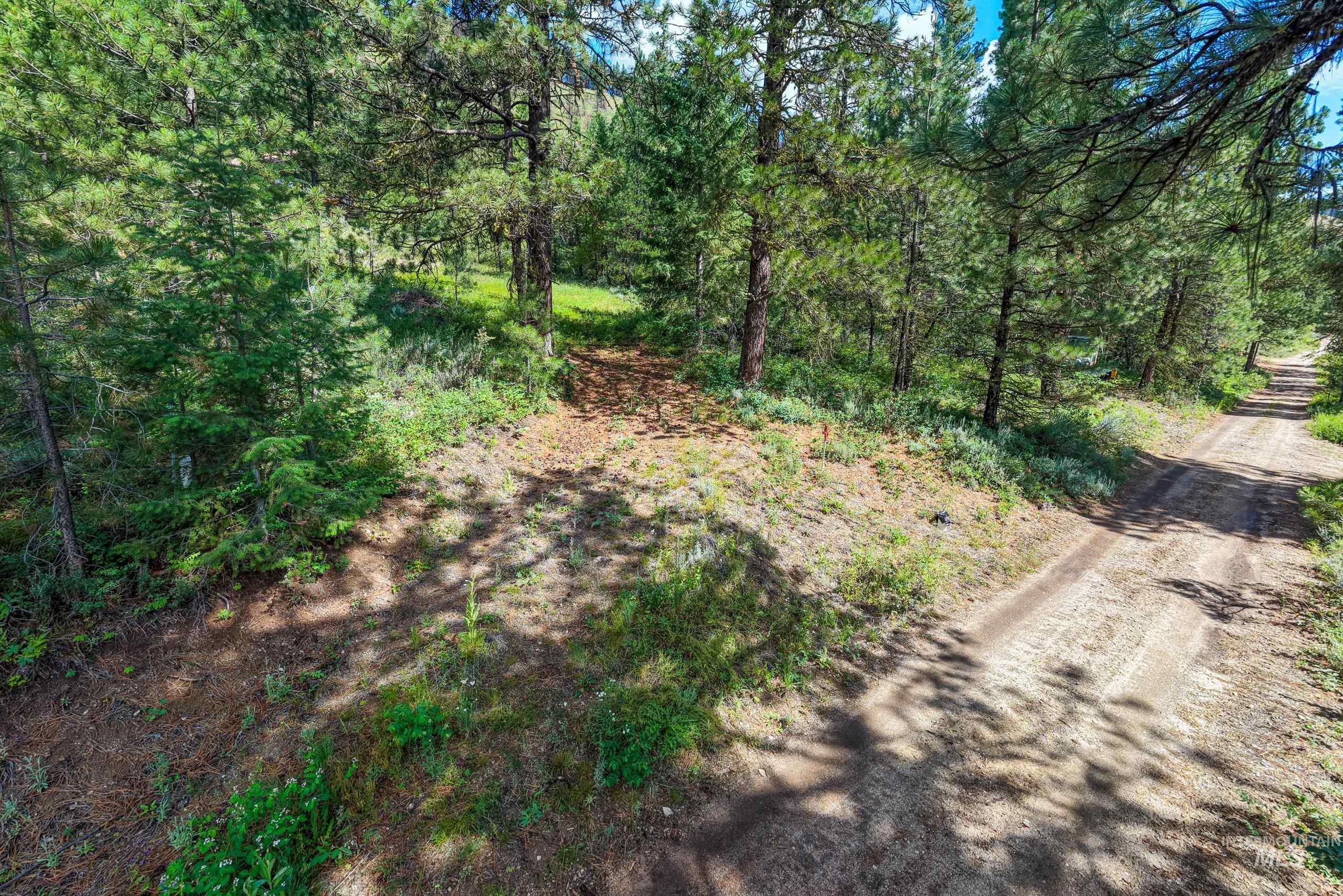 Lot 13 Valley Road, Lowman, Idaho 83687, Land For Sale, Price $100,000, 98993574