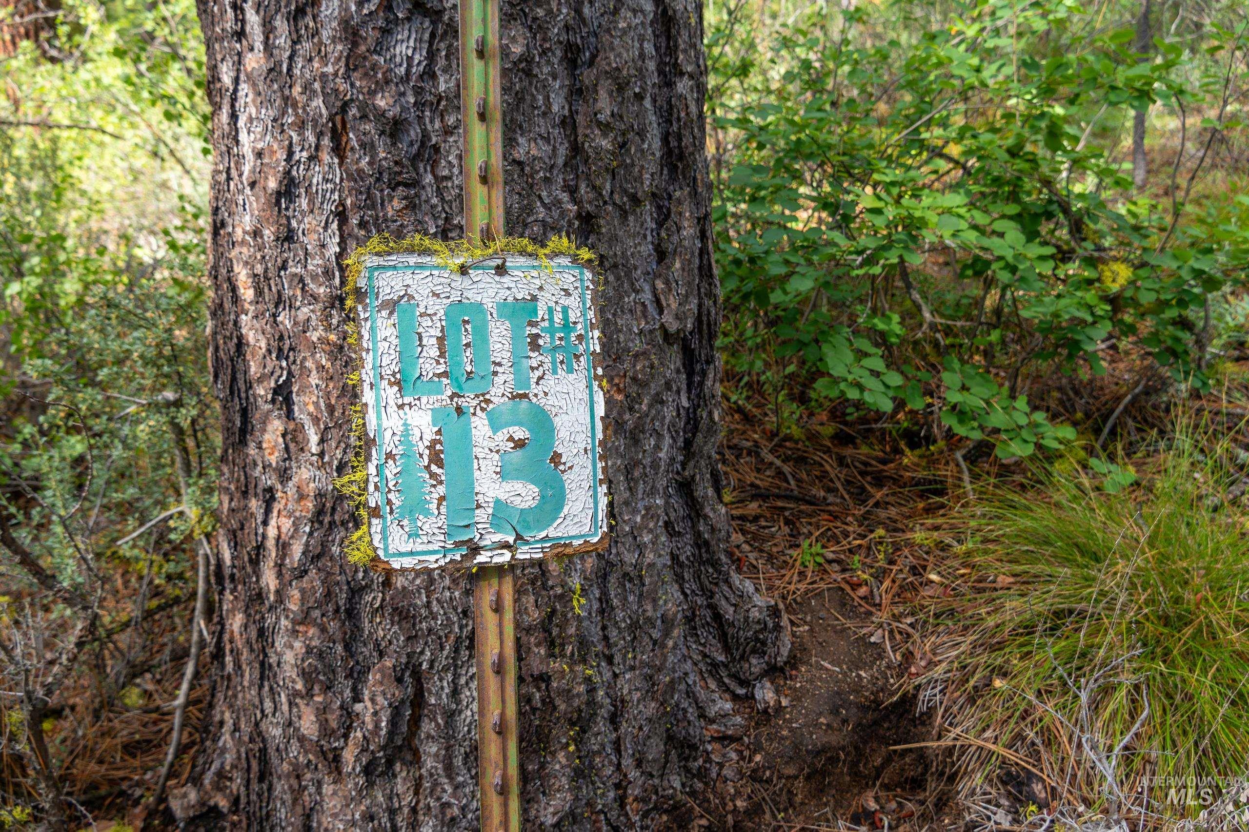 Lot 13 Valley Road, Lowman, Idaho 83687, Land For Sale, Price $100,000, 98993574