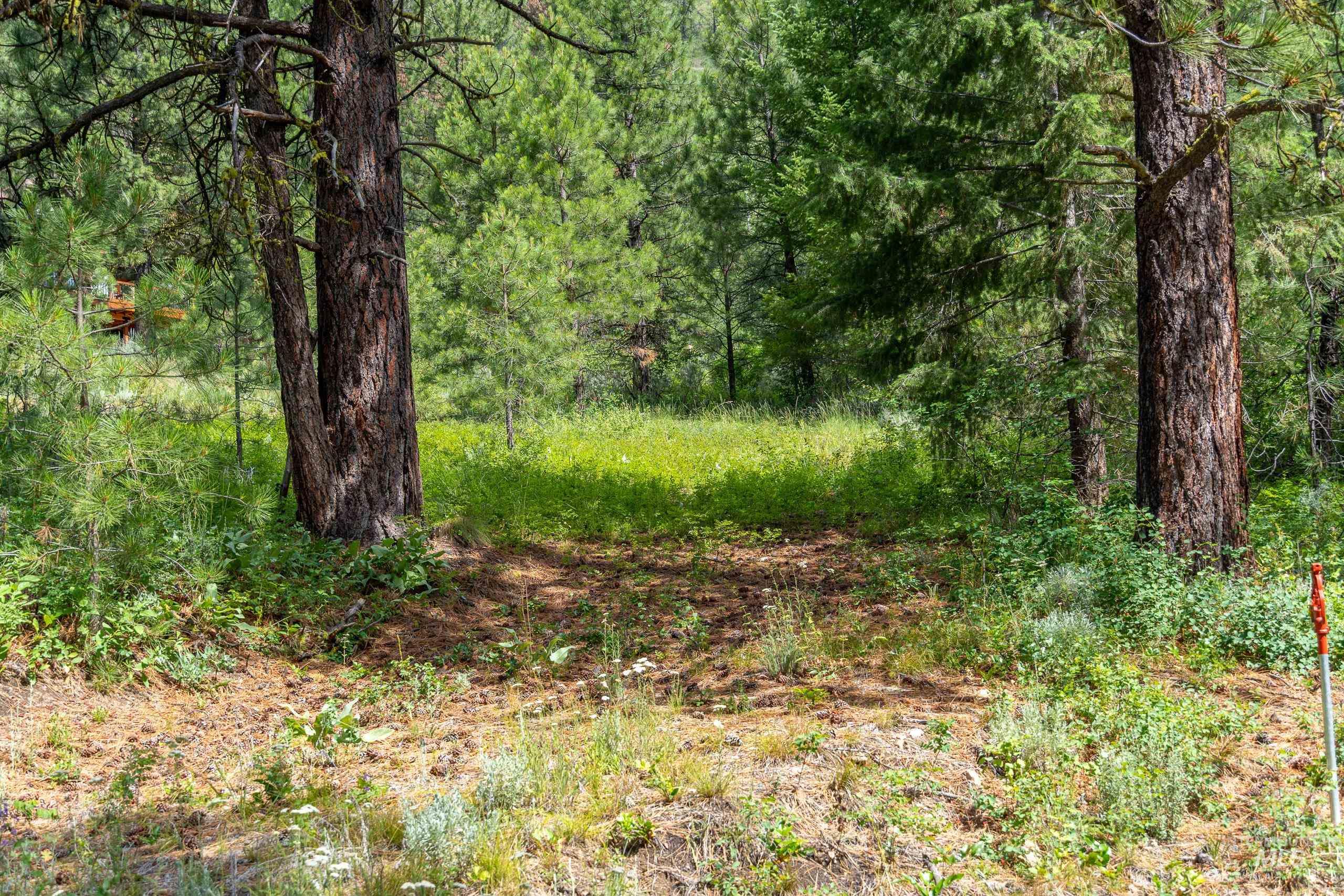 Lot 13 Valley Road, Lowman, Idaho 83687, Land For Sale, Price $100,000, 98993574