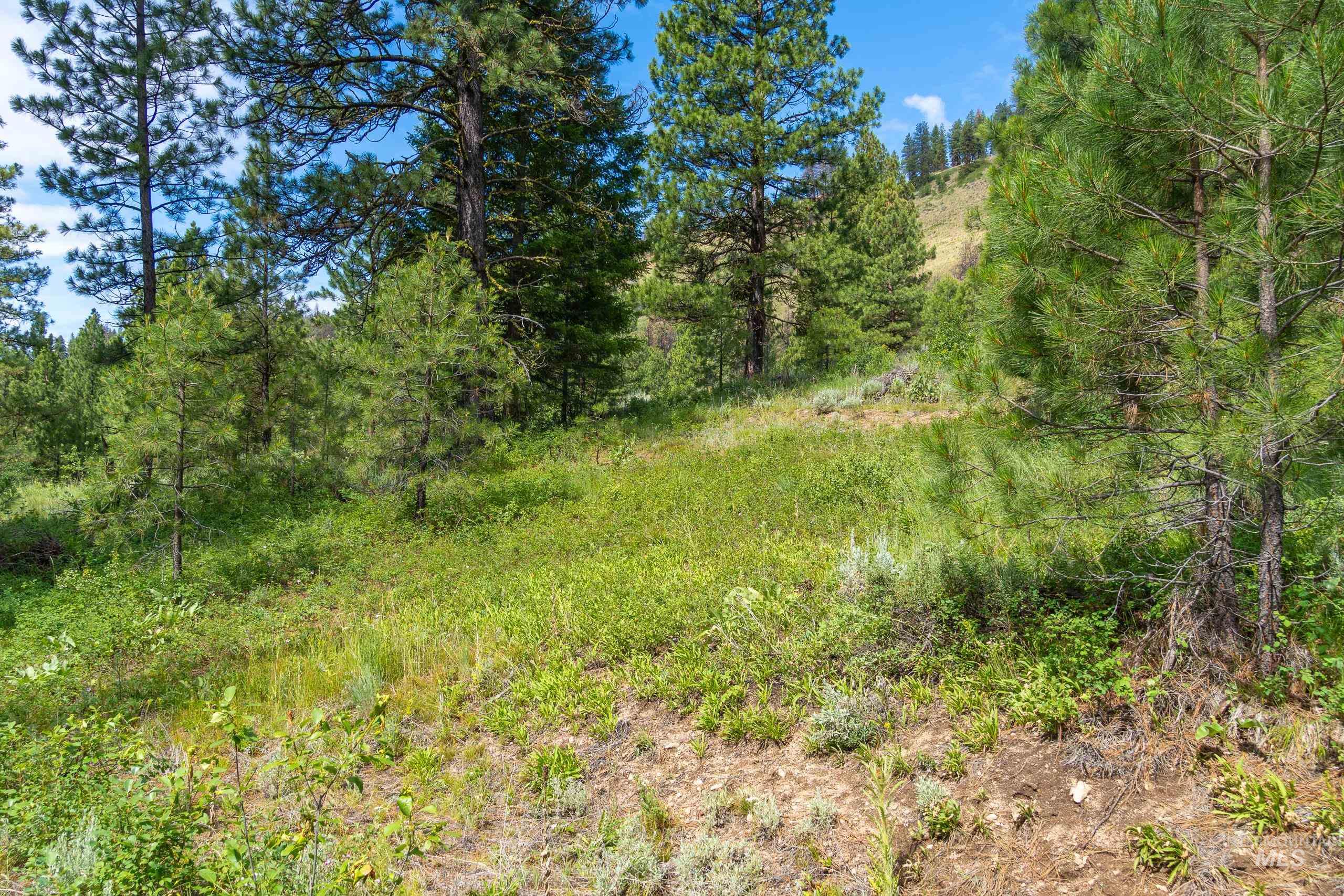 Lot 13 Valley Road, Lowman, Idaho 83687, Land For Sale, Price $100,000, 98993574