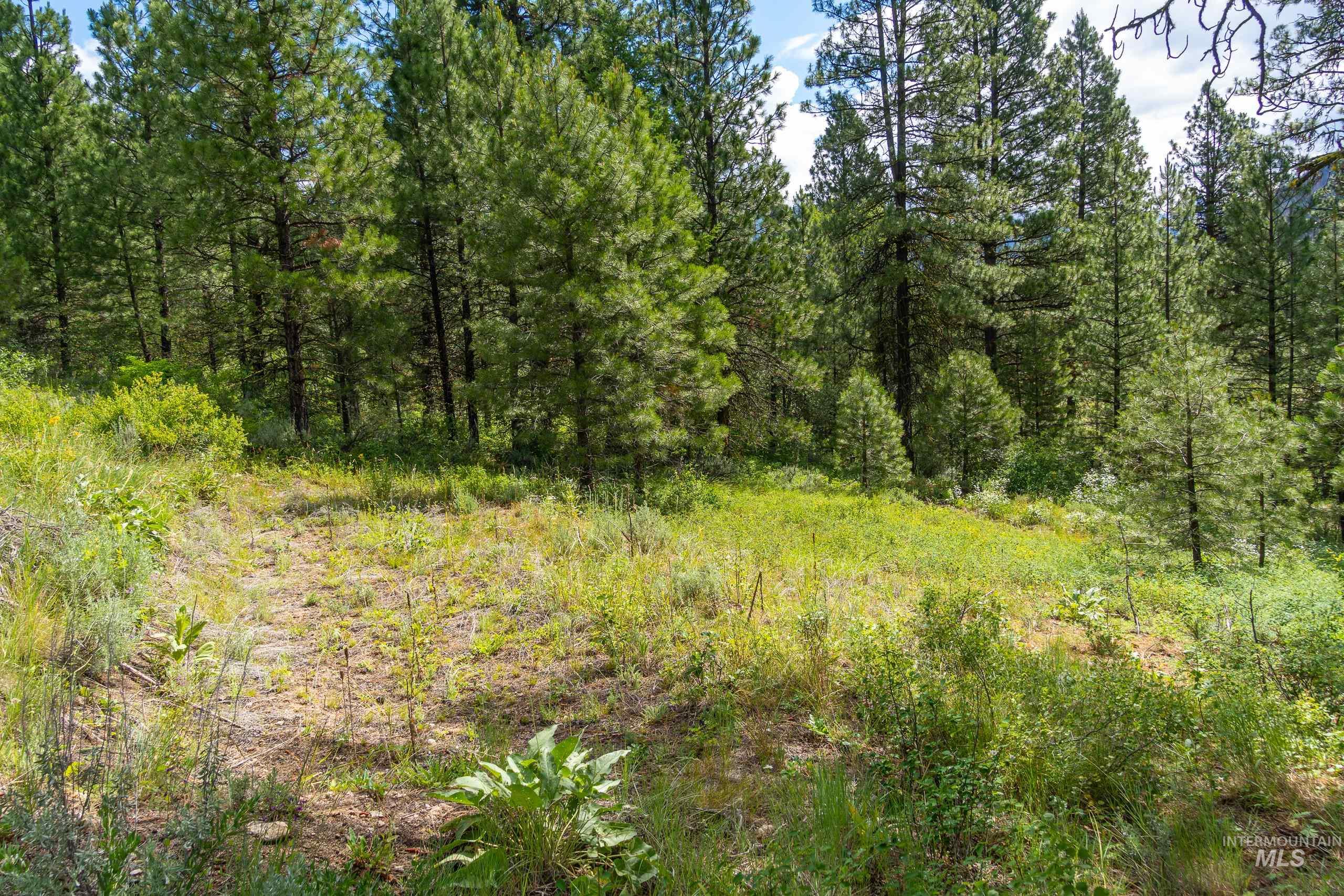 Lot 13 Valley Road, Lowman, Idaho 83687, Land For Sale, Price $100,000, 98993574