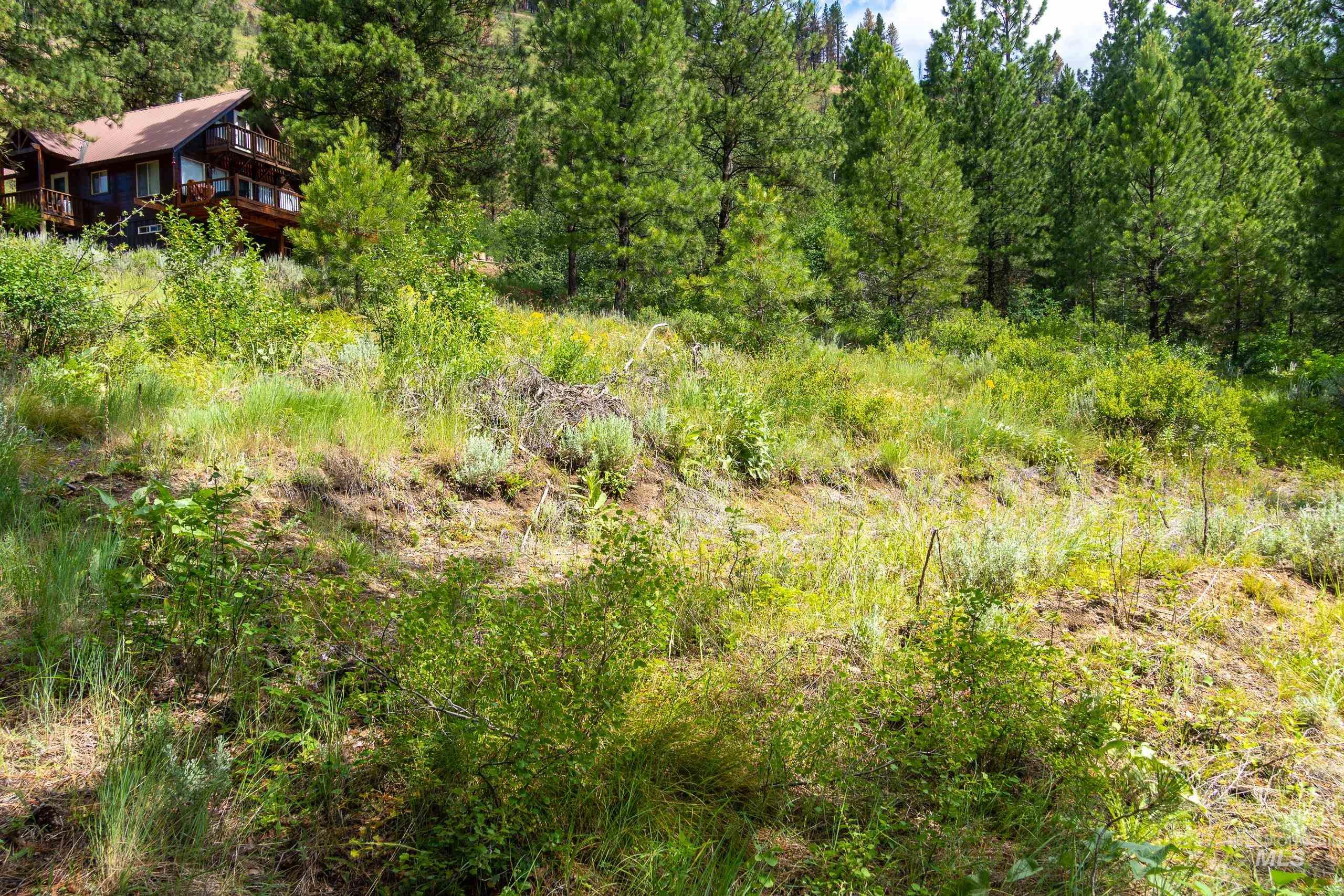 Lot 13 Valley Road, Lowman, Idaho 83687, Land For Sale, Price $100,000, 98993574