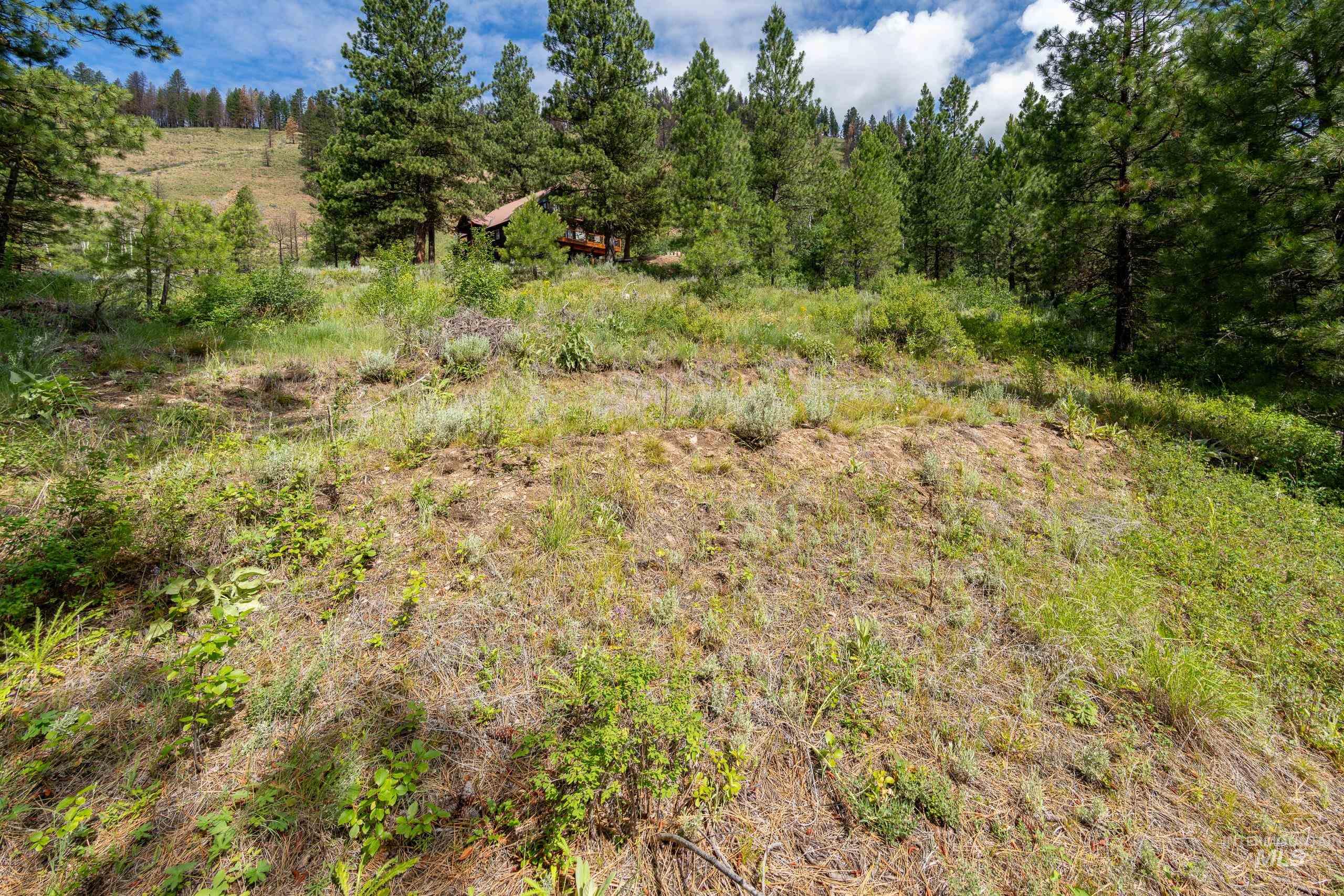 Lot 13 Valley Road, Lowman, Idaho 83687, Land For Sale, Price $100,000, 98993574