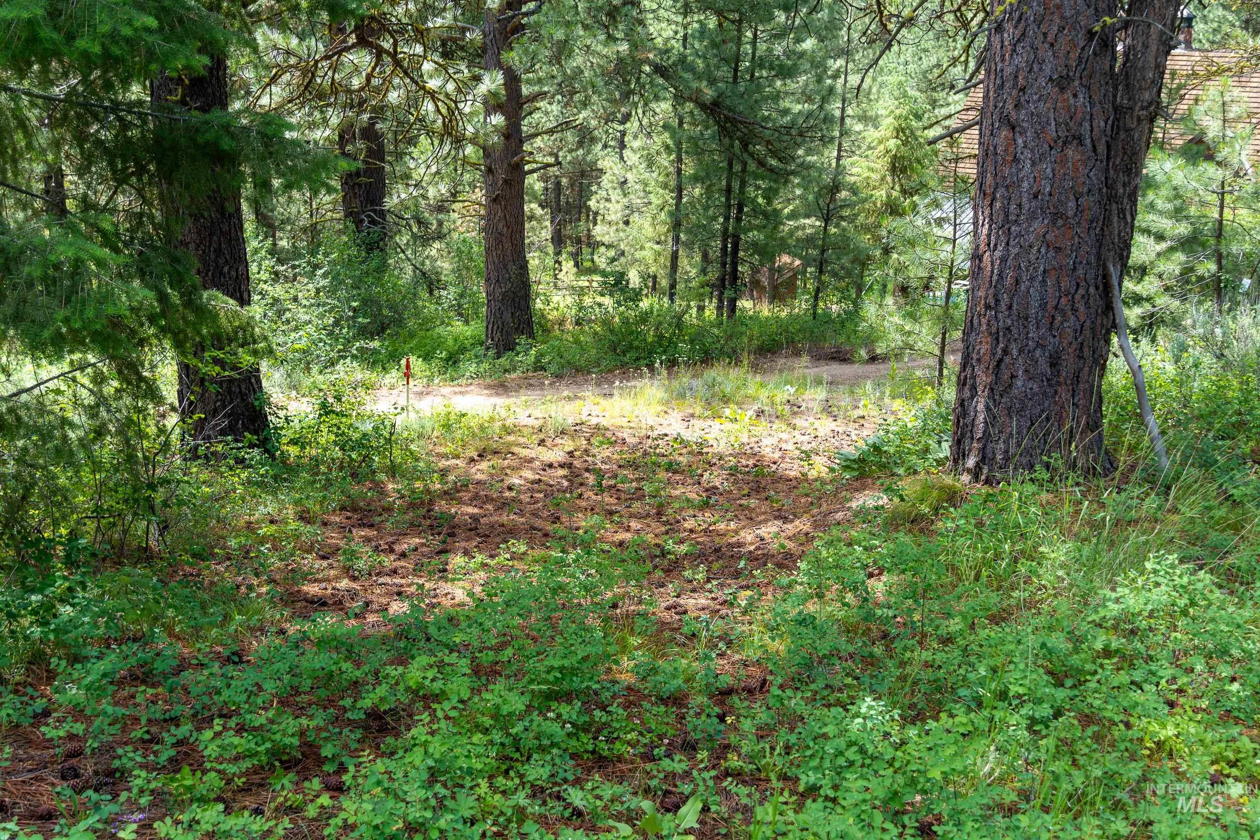 Lot 13 Valley Road, Lowman, Idaho 83687, Land For Sale, Price $100,000, 98993574