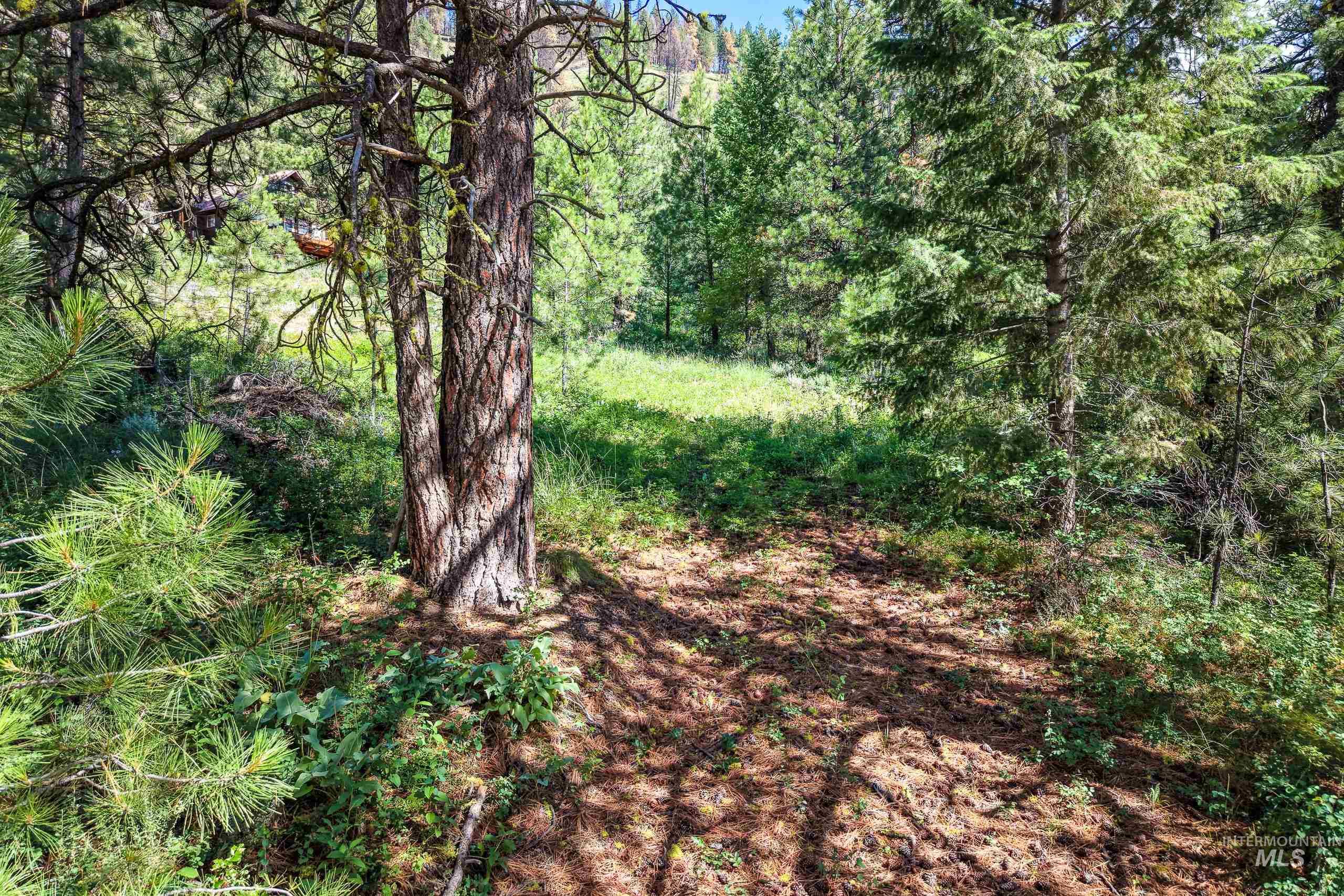 Lot 13 Valley Road, Lowman, Idaho 83687, Land For Sale, Price $100,000, 98993574