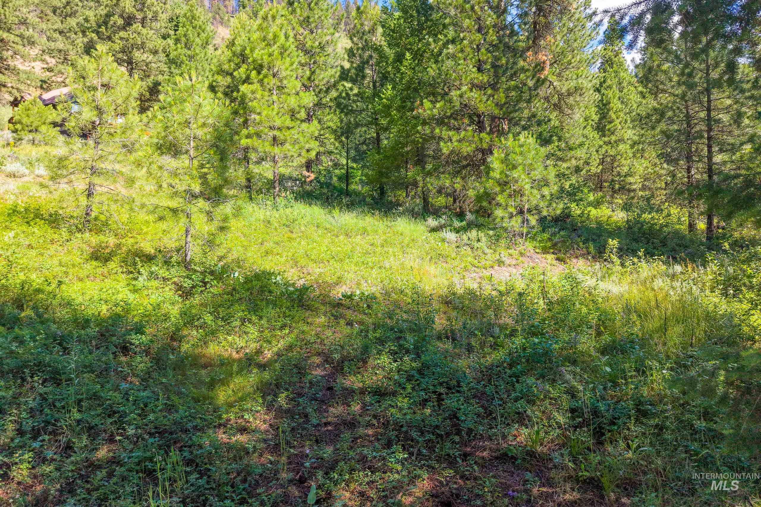 Lot 13 Valley Road, Lowman, Idaho 83687, Land For Sale, Price $100,000, 98993574