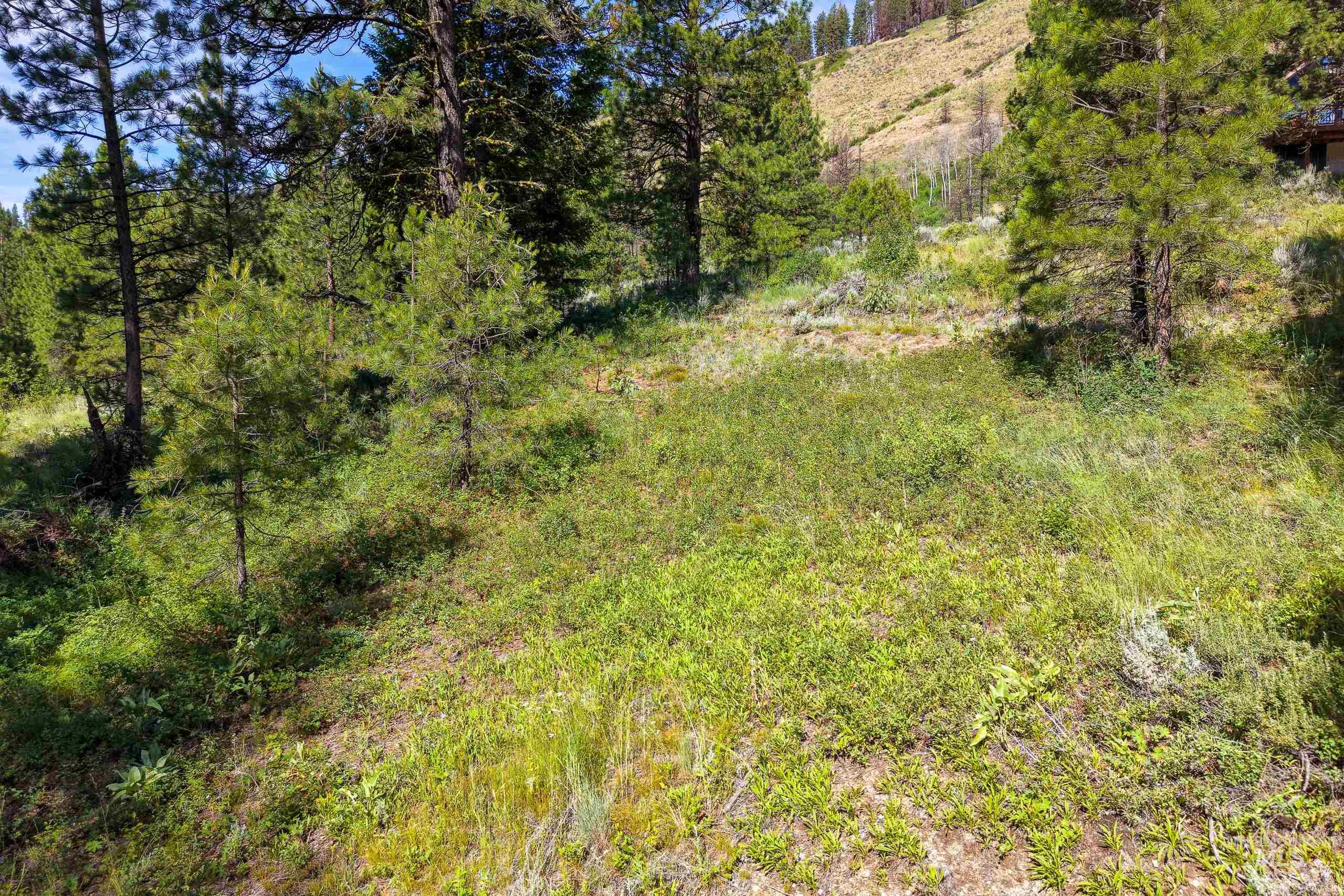 Lot 13 Valley Road, Lowman, Idaho 83687, Land For Sale, Price $100,000, 98993574