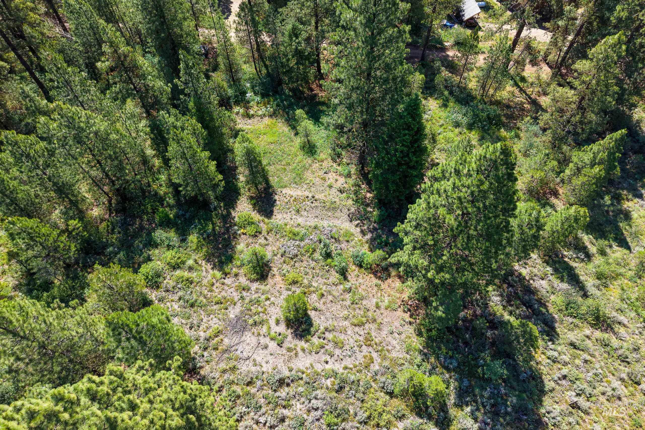 Lot 13 Valley Road, Lowman, Idaho 83687, Land For Sale, Price $100,000, 98993574
