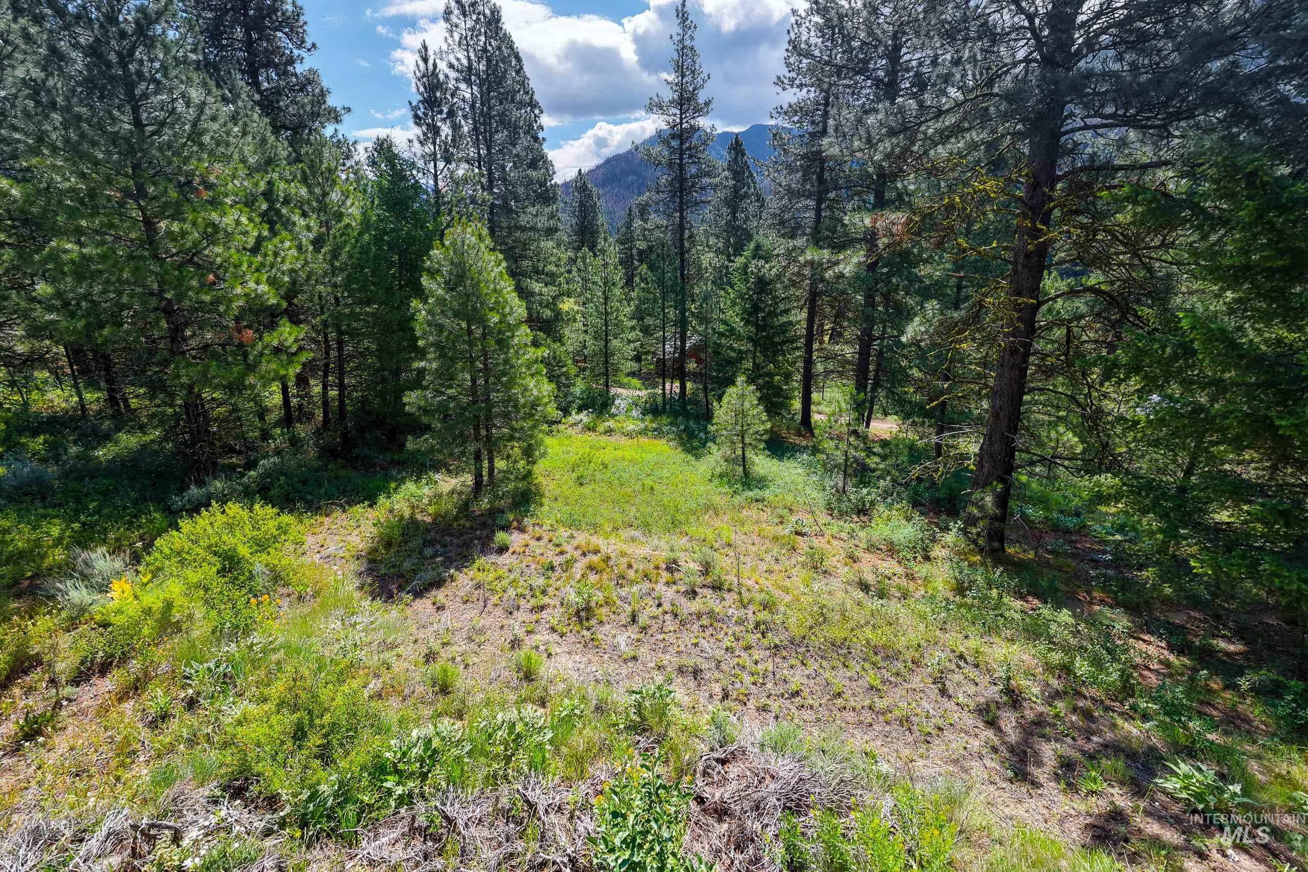 Lot 13 Valley Road, Lowman, Idaho 83687, Land For Sale, Price $100,000, 98993574