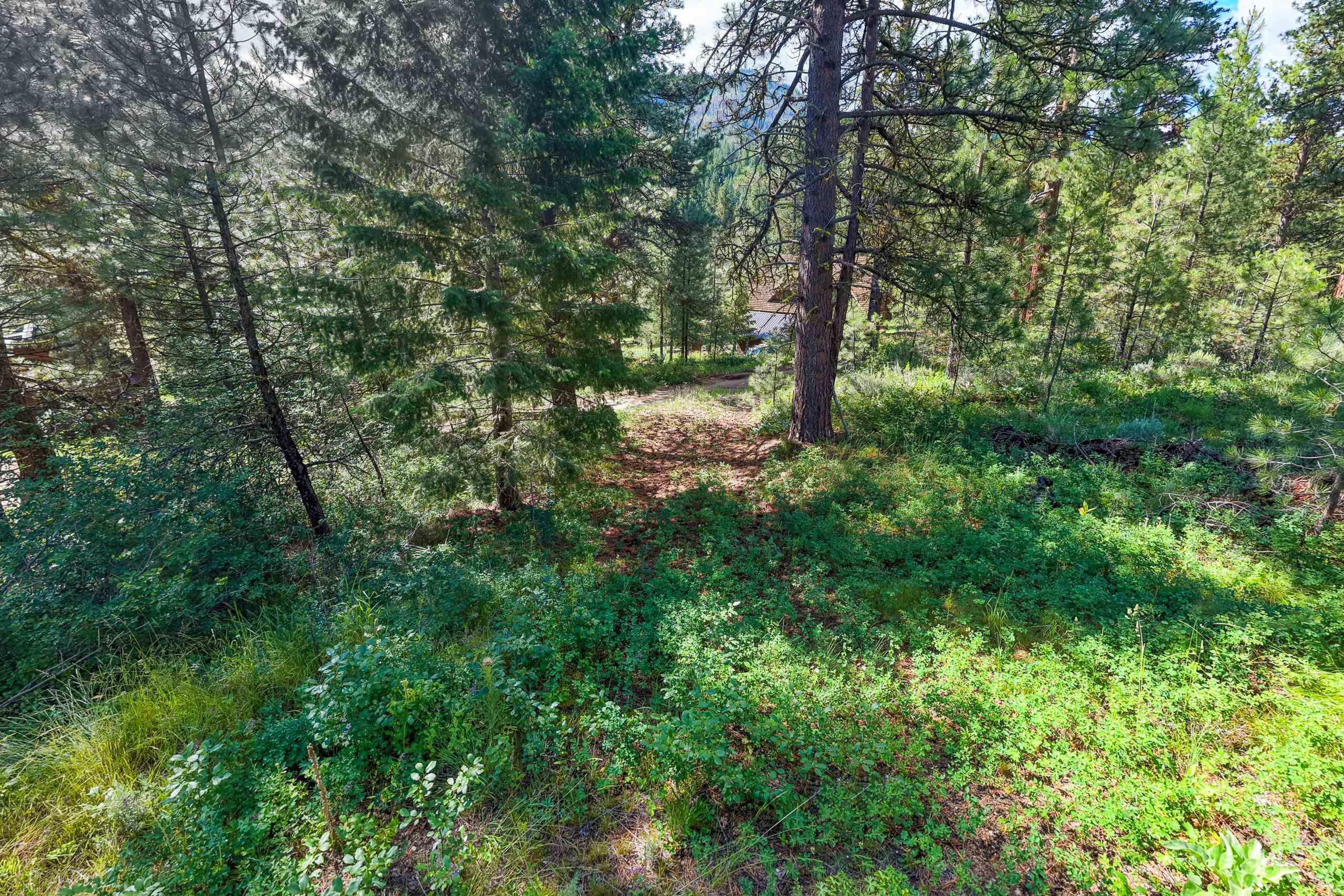 Lot 13 Valley Road, Lowman, Idaho 83687, Land For Sale, Price $100,000, 98993574