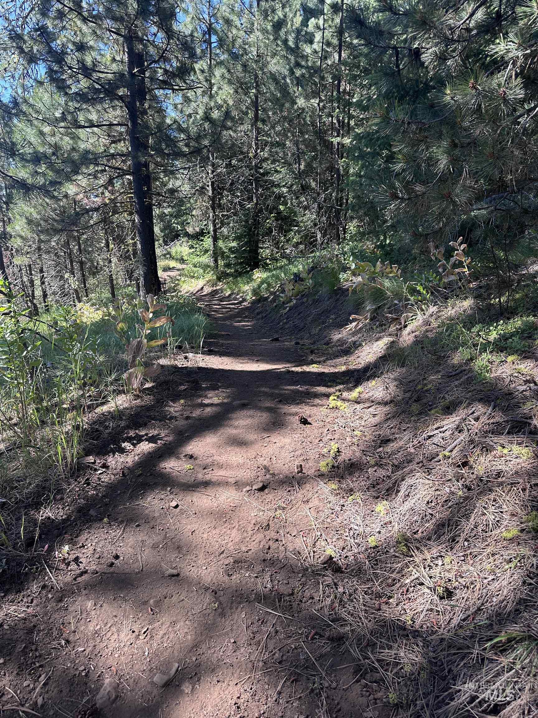 5541 Lupine Lane, McCall, Idaho 83638, Land For Sale, Price $588,000,MLS 98993590