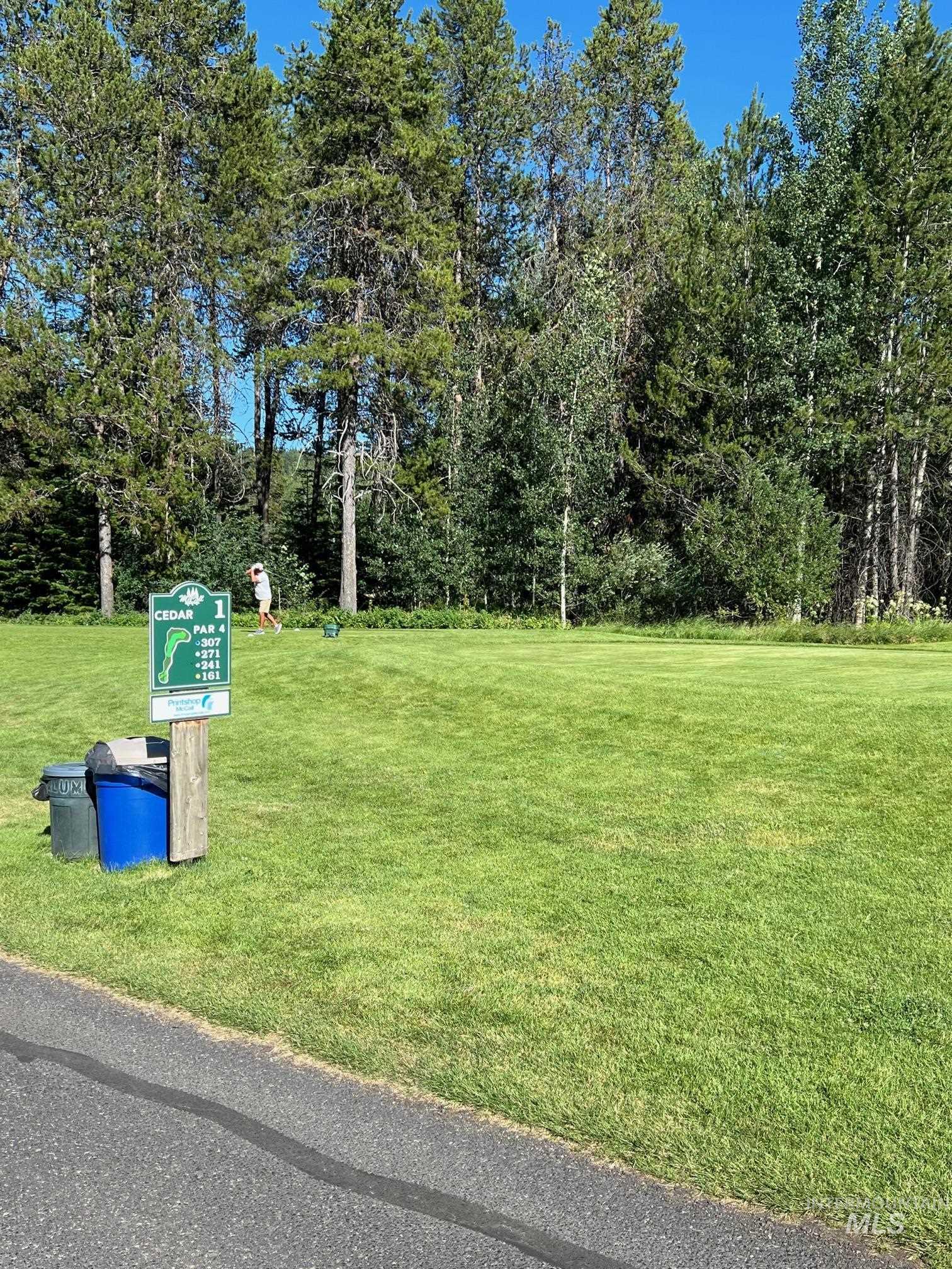 321 Mountain Cove Ct, McCall, Idaho 83638, Land For Sale, Price $275,000, 98993594