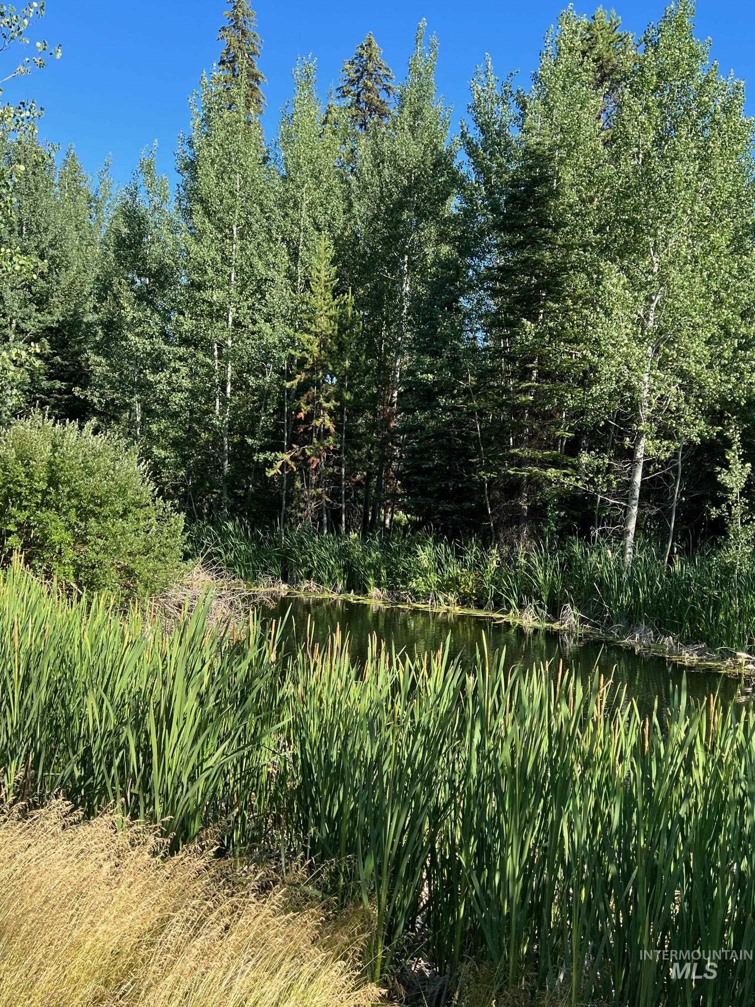 321 Mountain Cove Ct, McCall, Idaho 83638, Land For Sale, Price $275,000, 98993594