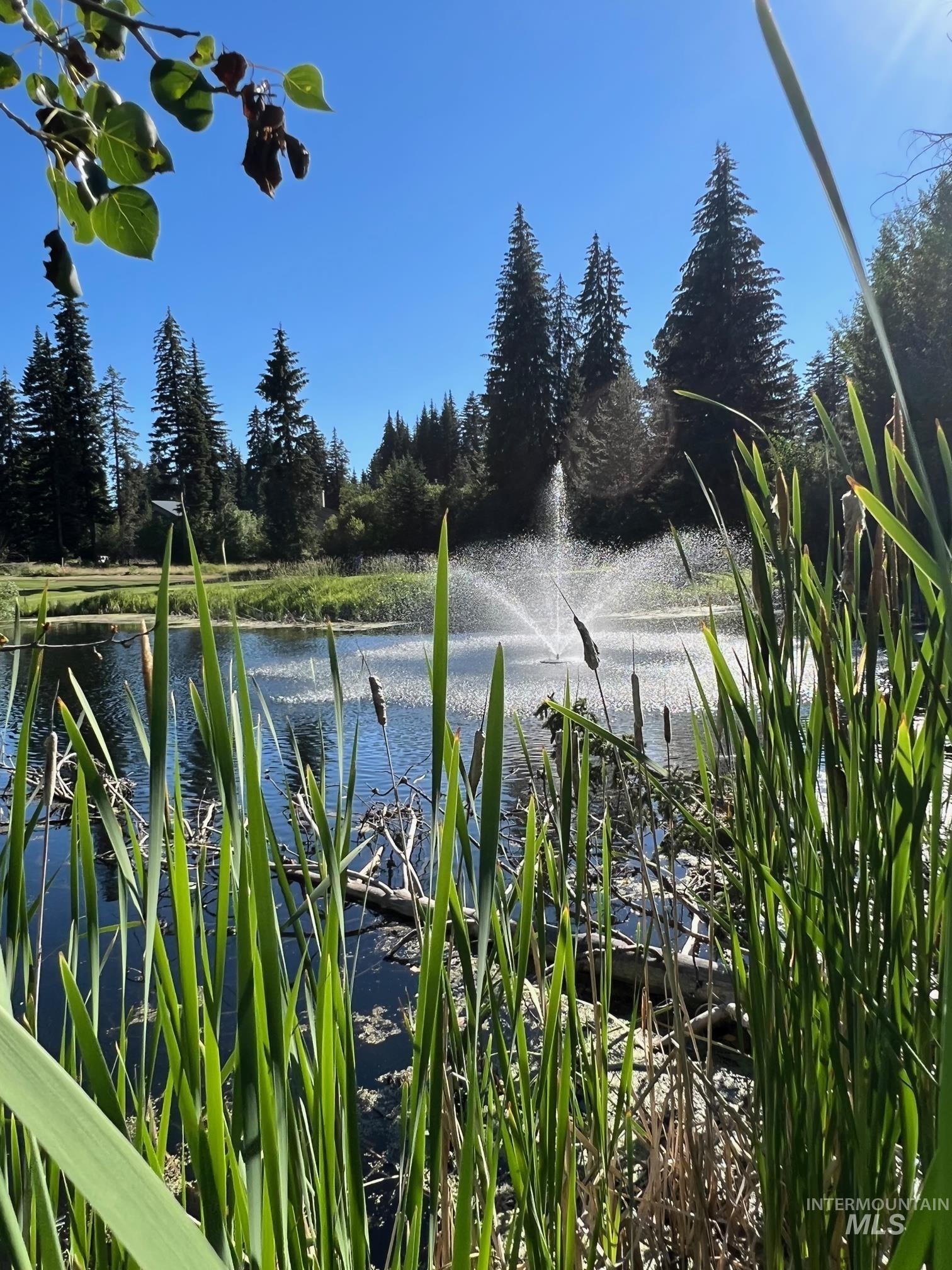 321 Mountain Cove Ct, McCall, Idaho 83638, Land For Sale, Price $275,000, 98993594