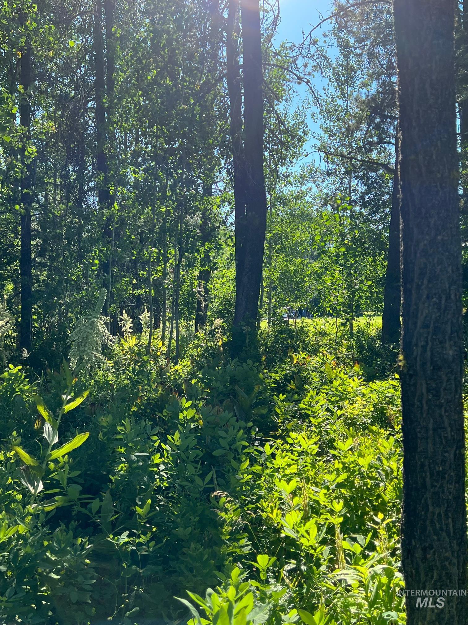321 Mountain Cove Ct, McCall, Idaho 83638, Land For Sale, Price $275,000, 98993594