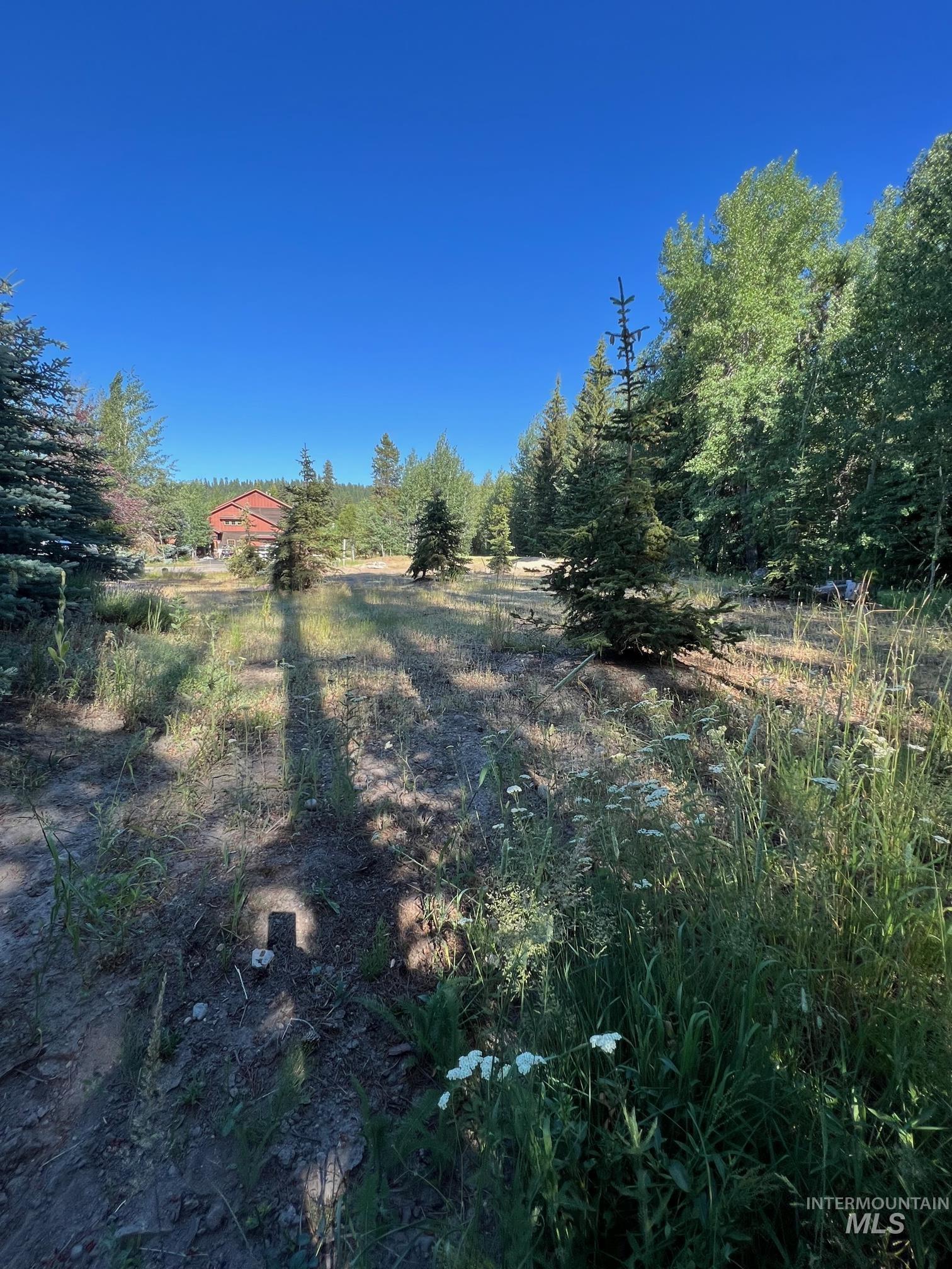 321 Mountain Cove Ct, McCall, Idaho 83638, Land For Sale, Price $275,000, 98993594