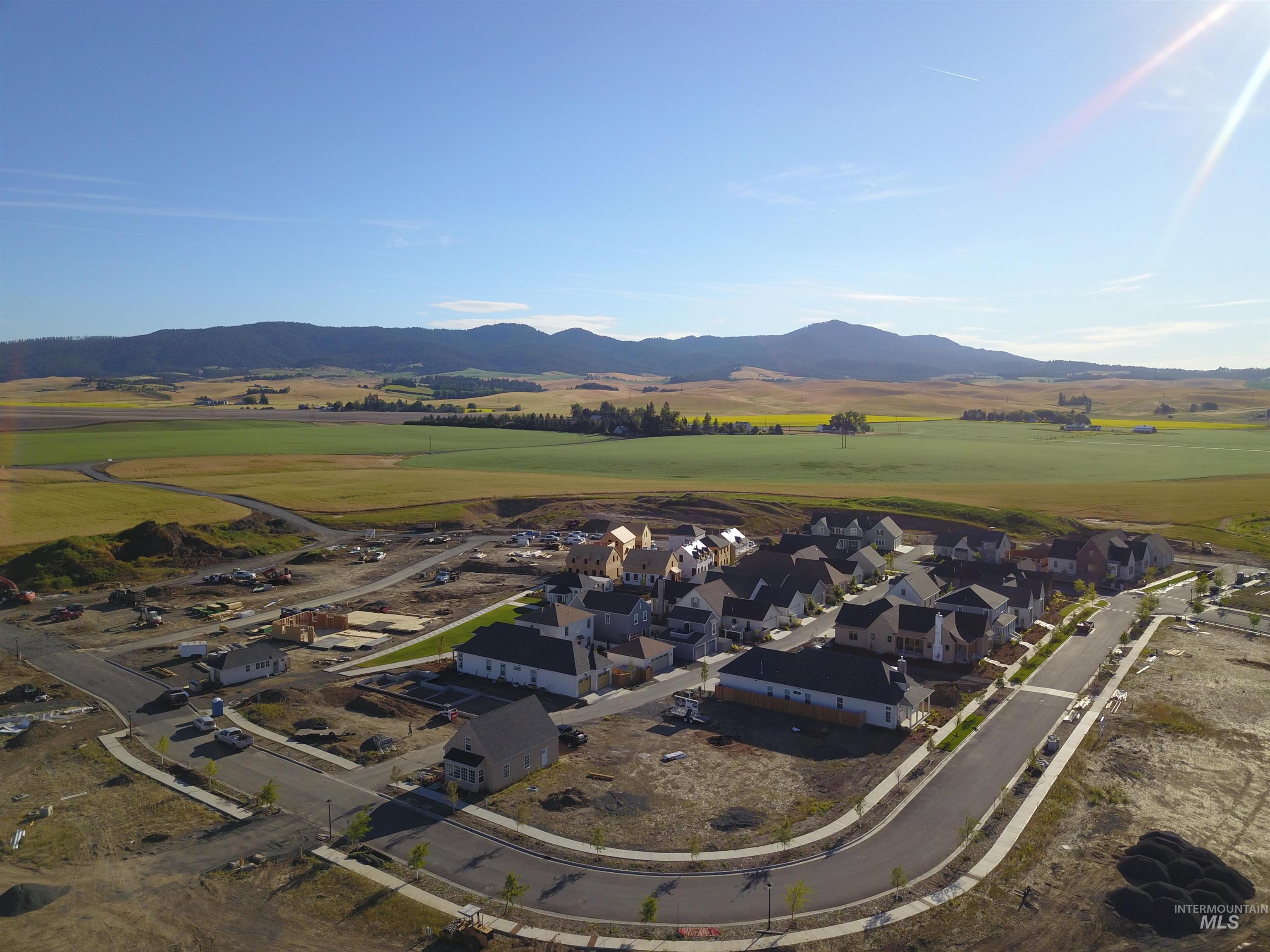 1633 Primrose Ct "Lucent", Moscow, Idaho 83843, 3 Bedrooms, 2.5 Bathrooms, Residential For Sale, Price $485,000,MLS 98993622