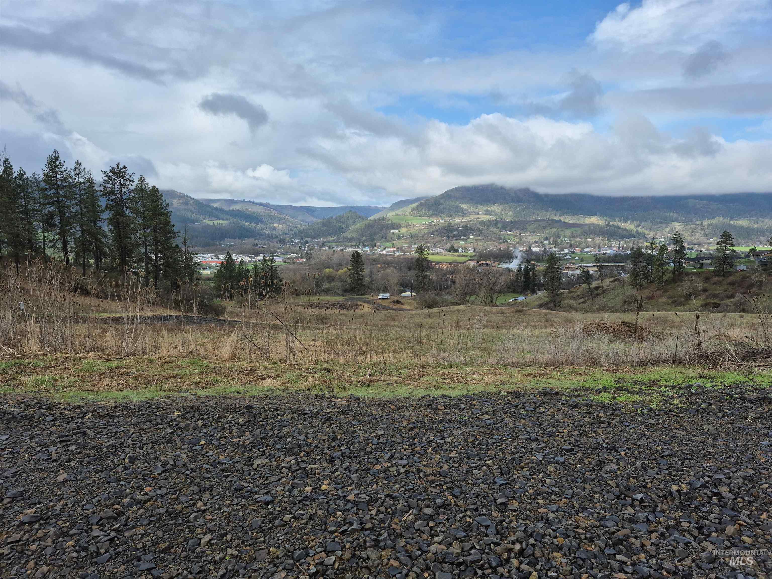 147 Elk Hill St., Kamiah, Idaho 83536, Land For Sale, Price $189,000,MLS 98993638