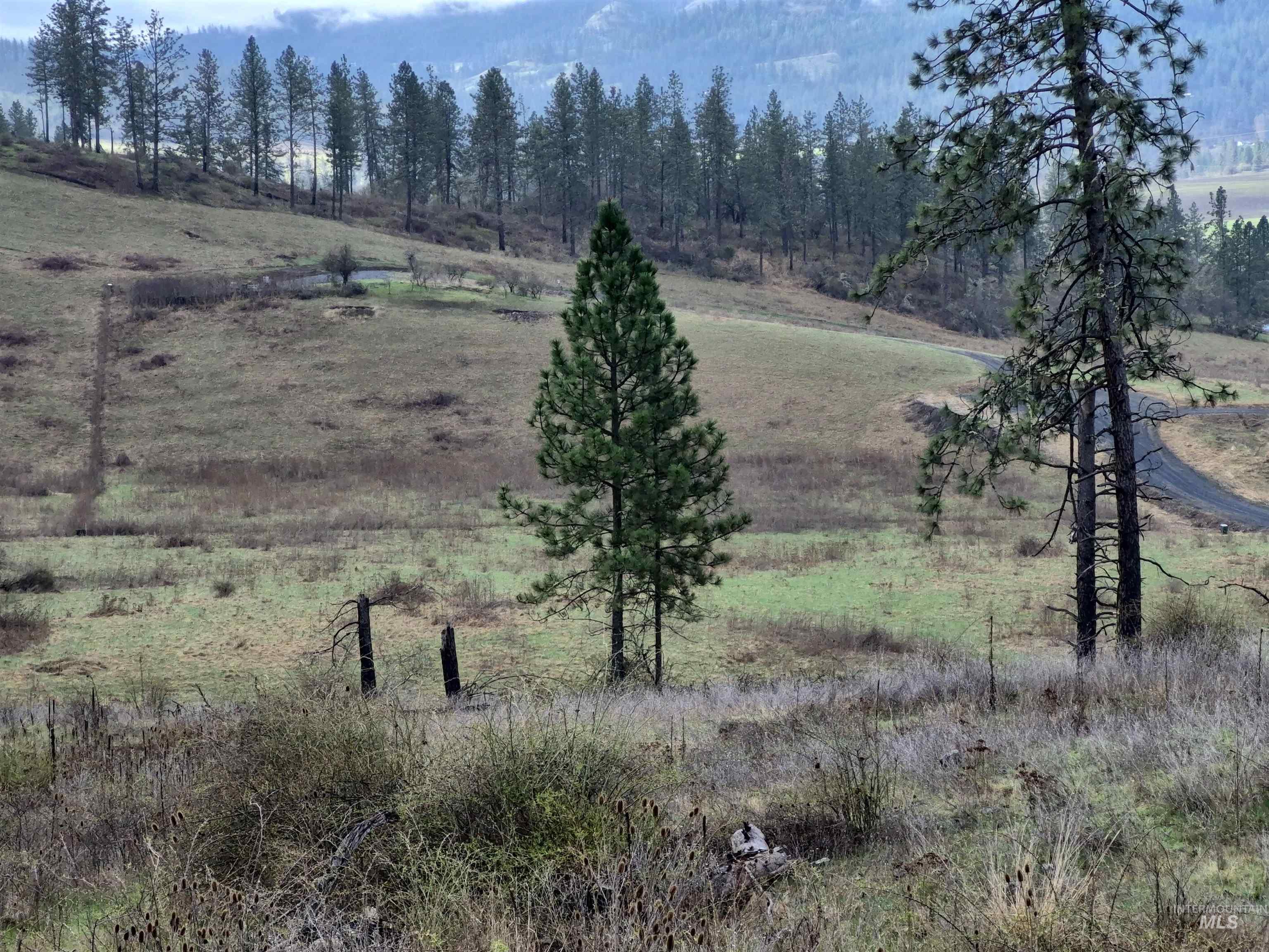 147 Elk Hill St., Kamiah, Idaho 83536, Land For Sale, Price $189,000,MLS 98993638