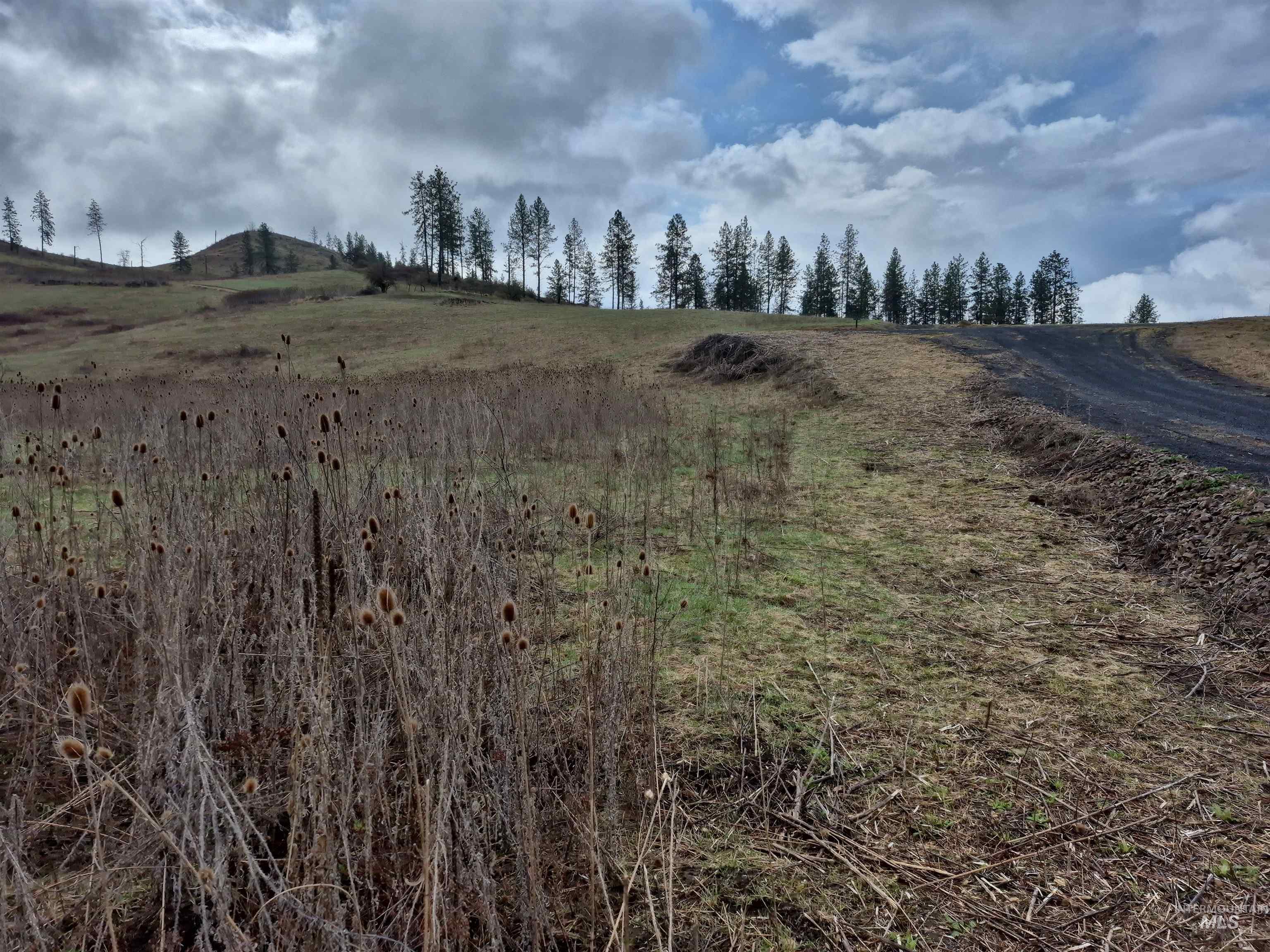 147 Elk Hill St., Kamiah, Idaho 83536, Land For Sale, Price $189,000,MLS 98993638