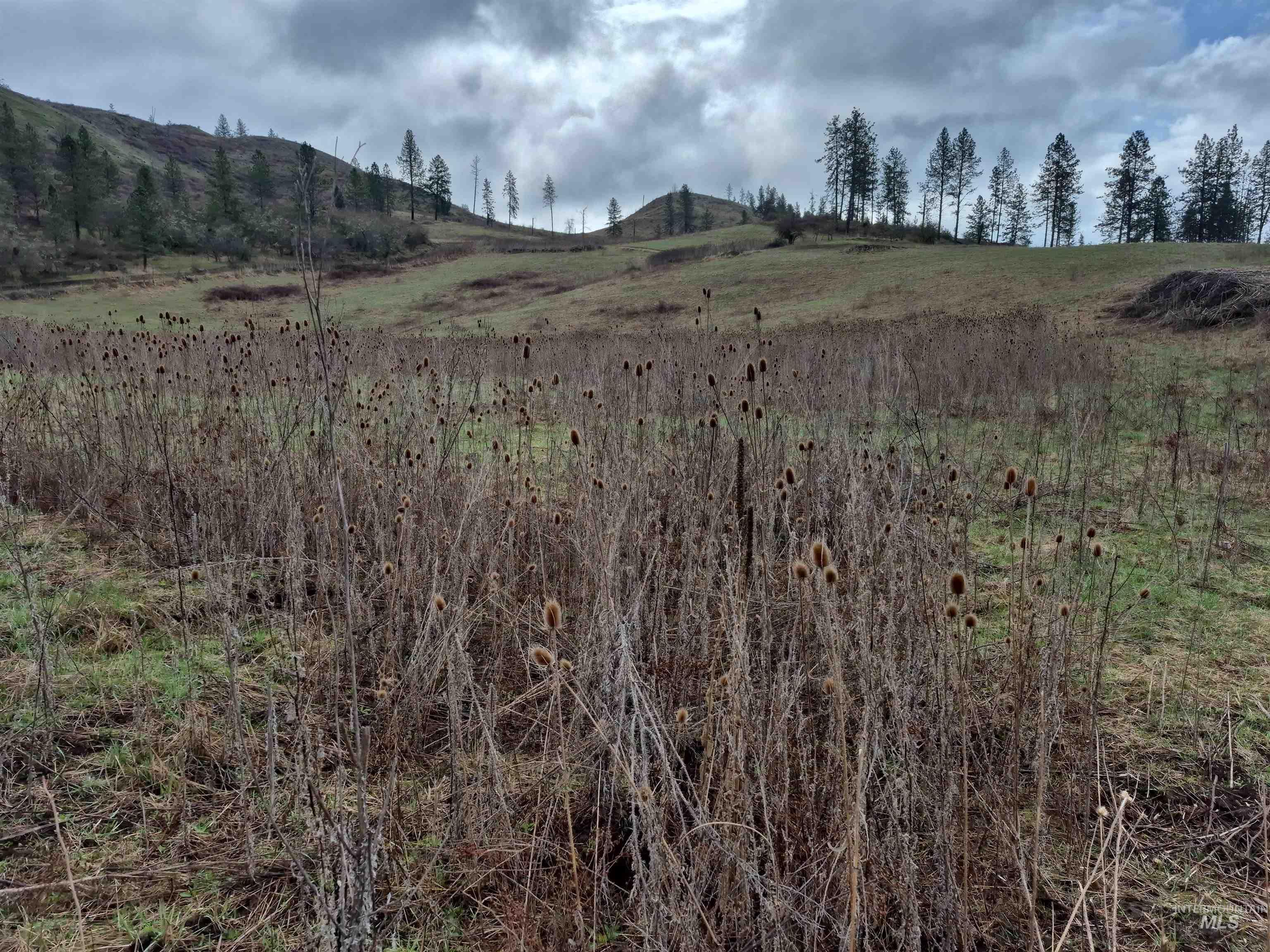147 Elk Hill St., Kamiah, Idaho 83536, Land For Sale, Price $189,000,MLS 98993638